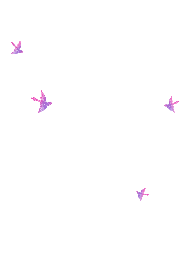 喜鹊