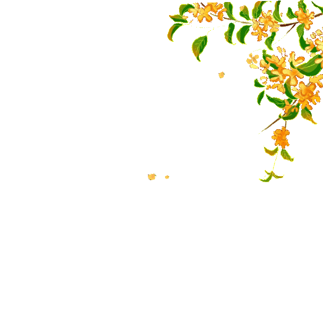 桂花