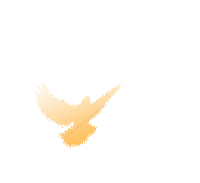 鸽子