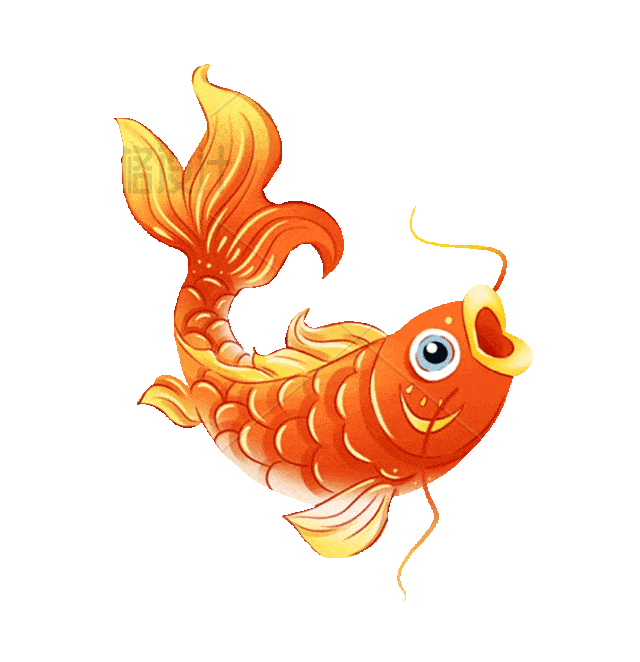 锦鲤