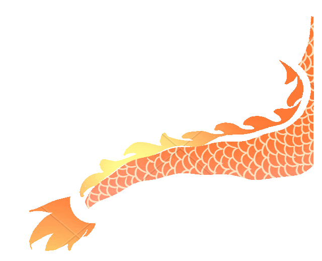 龙尾