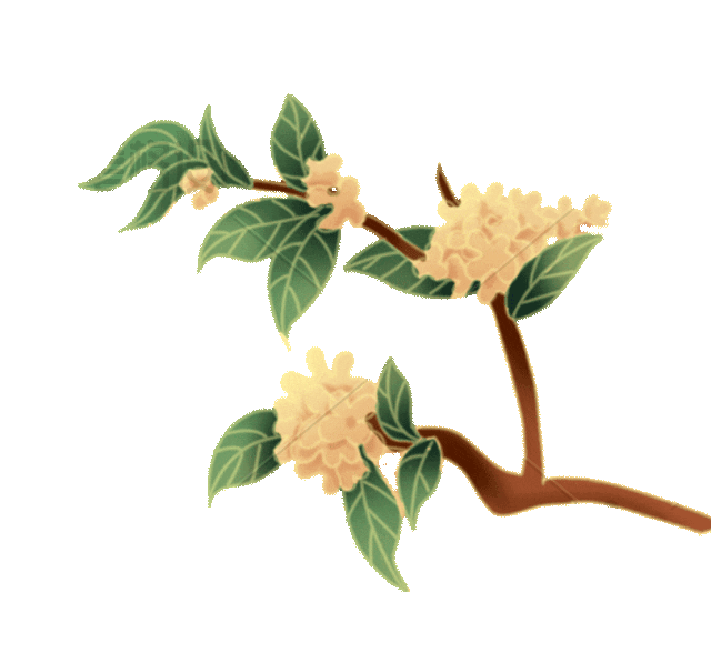 中秋节桂花飘落