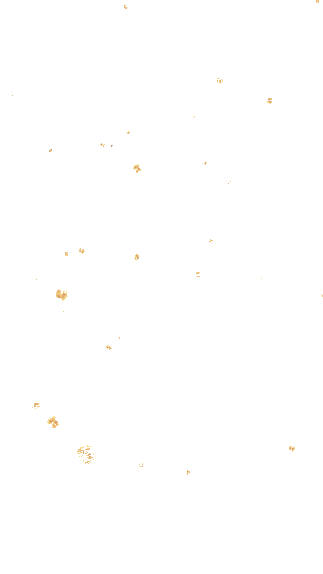 中秋节桂花飘落