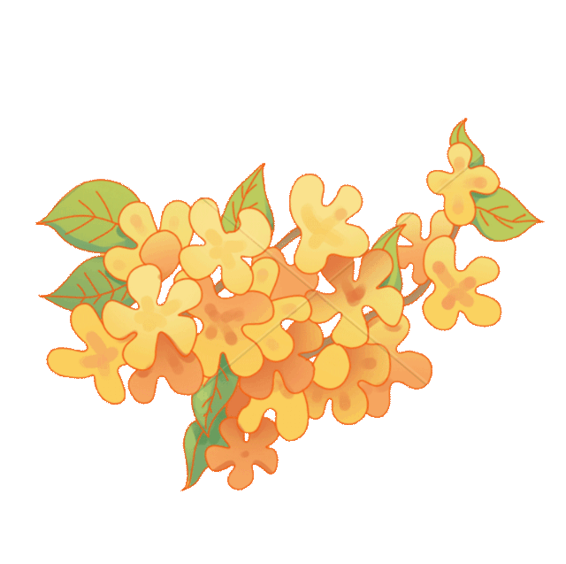 桂花