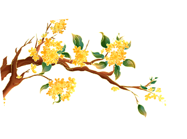 桂花