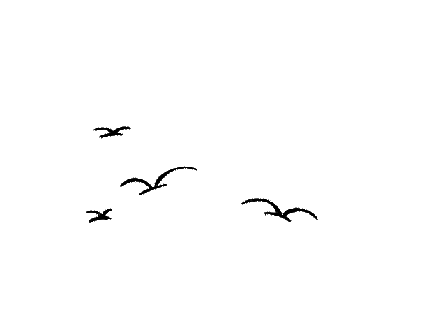 简笔画鸟