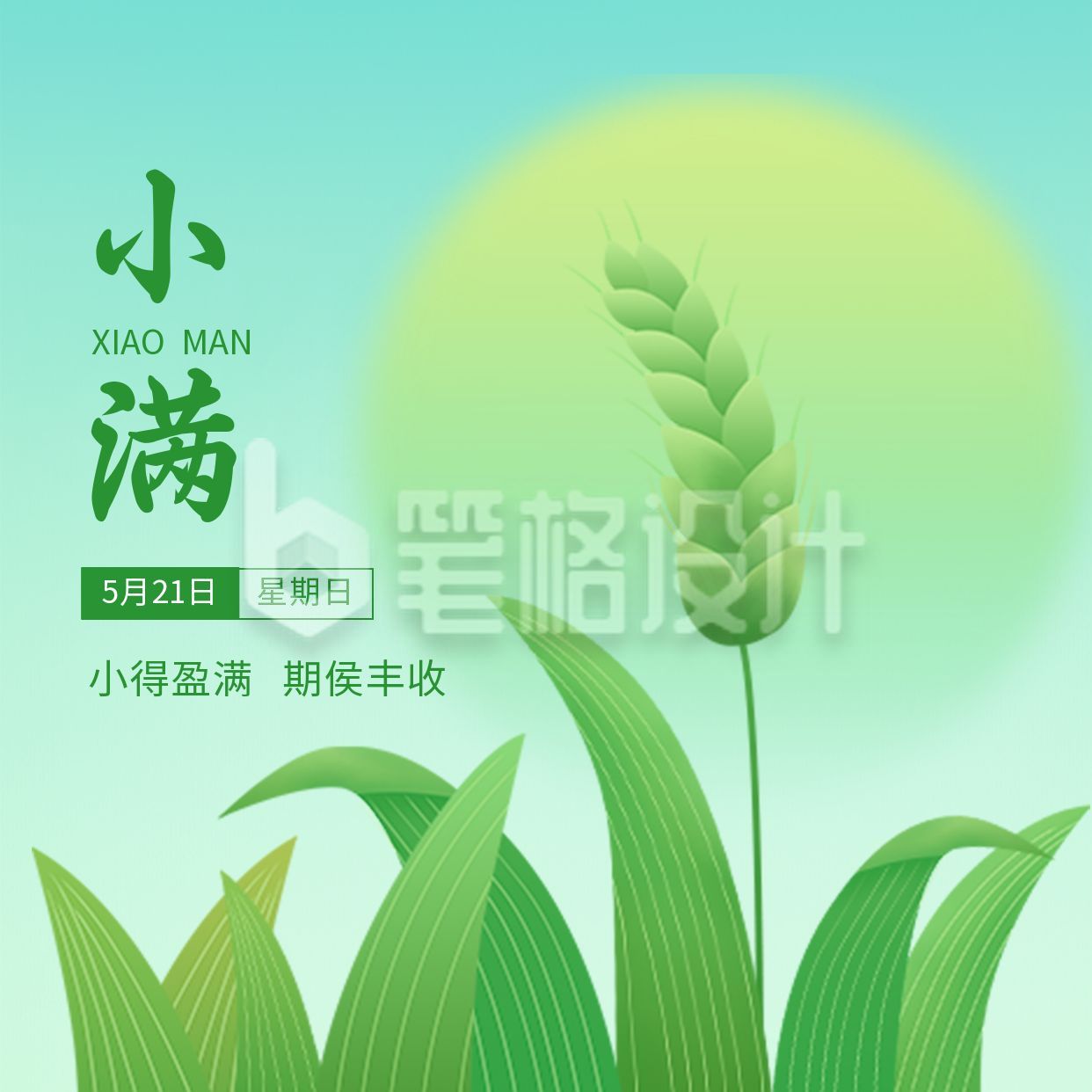 小满节气祝福方形海报