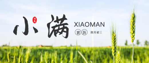 小满节气|共享丰收的喜悦