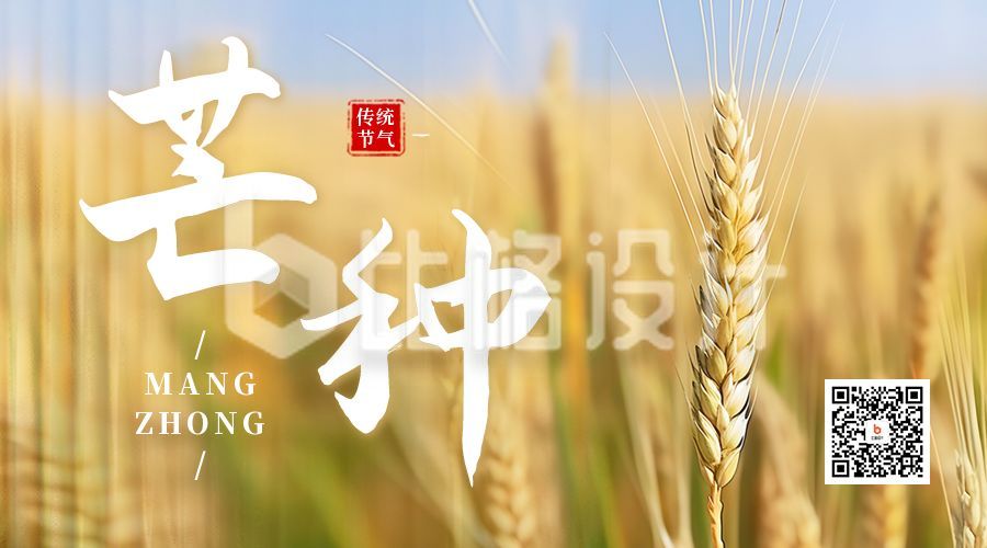 芒种节气麦穗实景二维码海报