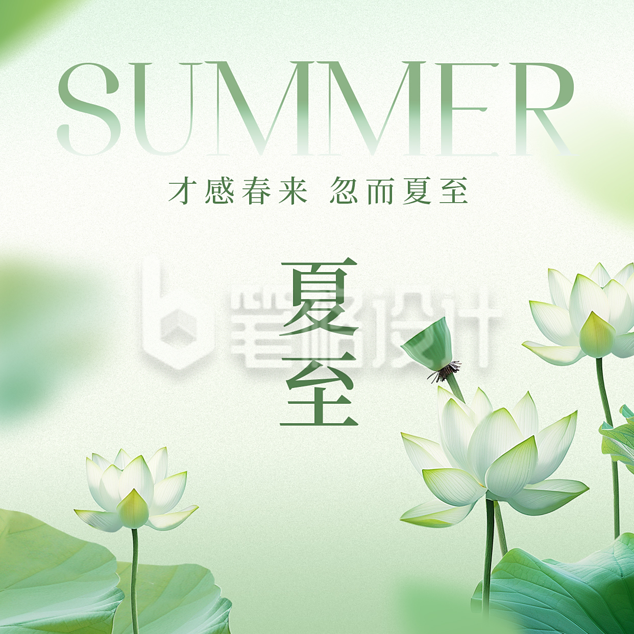 夏至实景祝福方形海报 夏至实景祝福方形海报