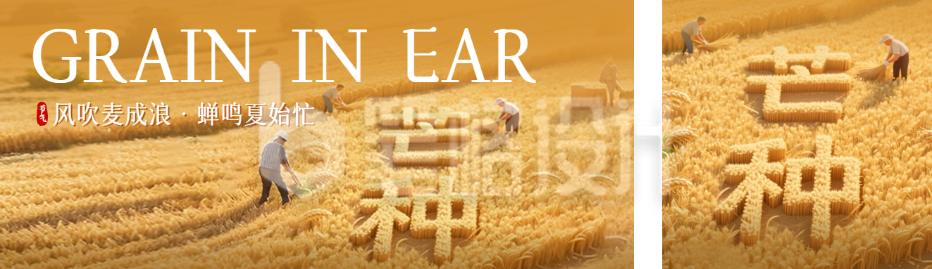 芒种节气创意祝福公众号双封面 芒种节气创意祝福公众号双封面