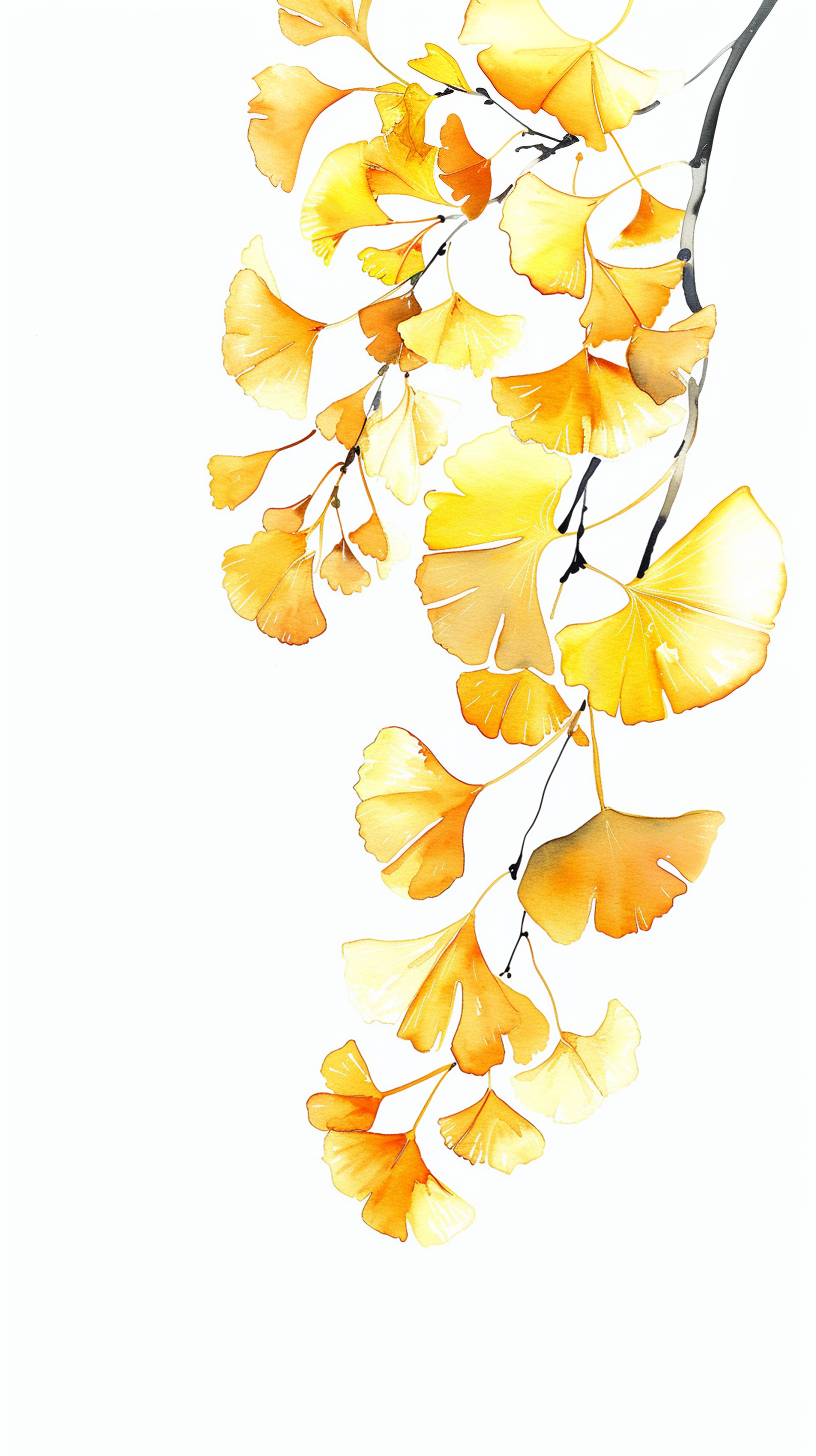 金黄银杏叶插画