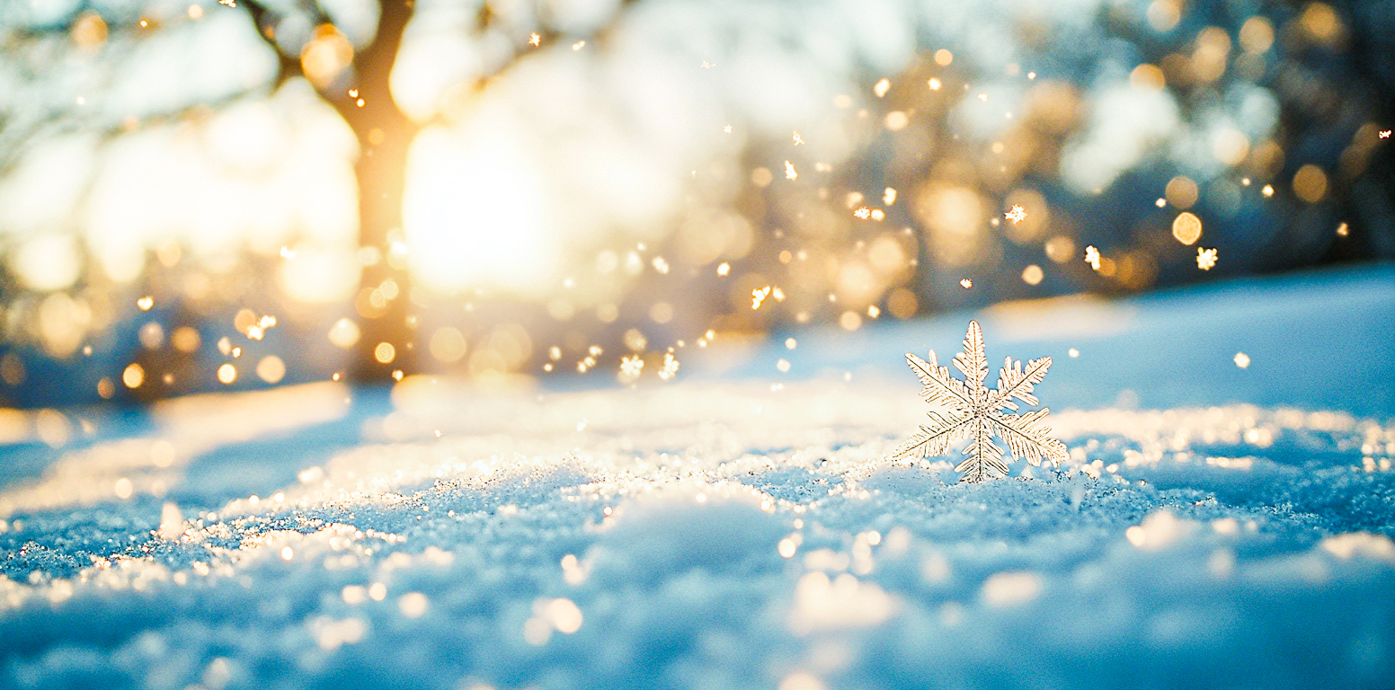 唯美雪花雪景图壁纸素材