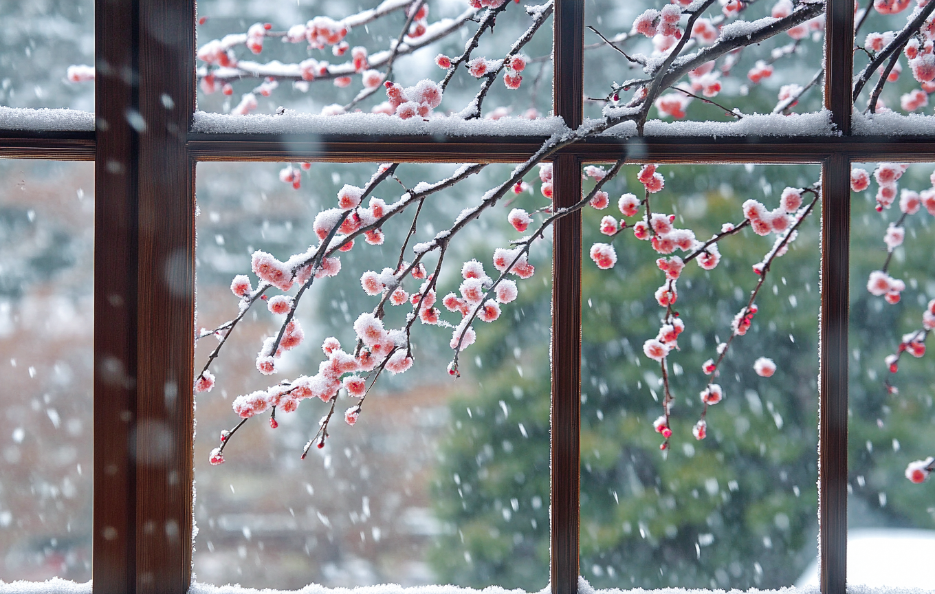 雪中红梅映窗扉冬日浪漫景象