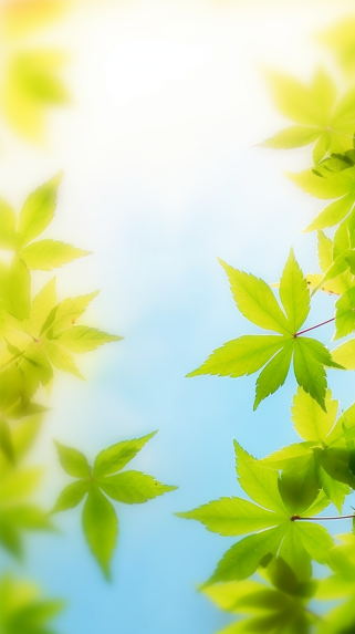 清新绿叶手机壁纸