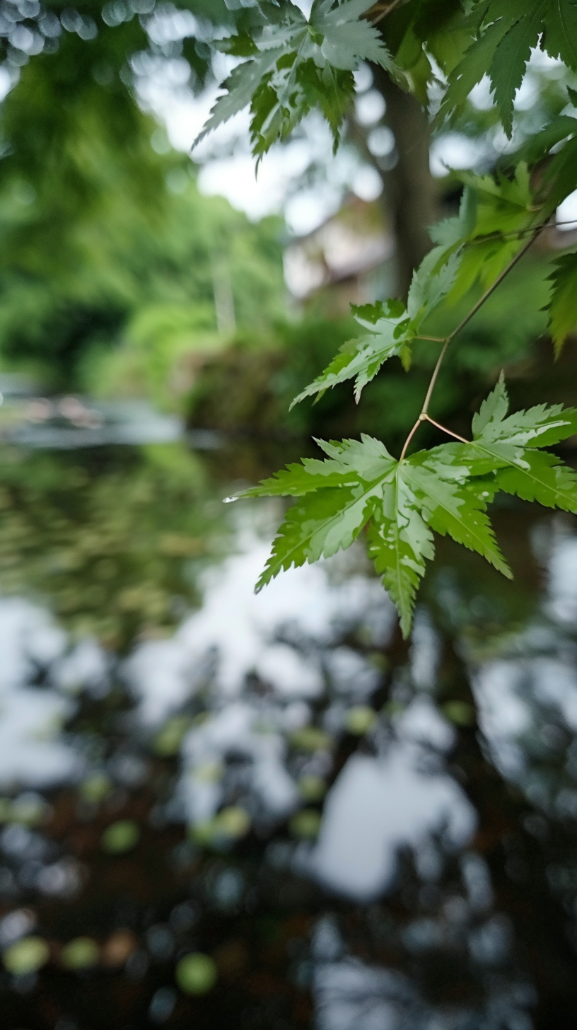 清新绿叶配流水自然美景壁纸
