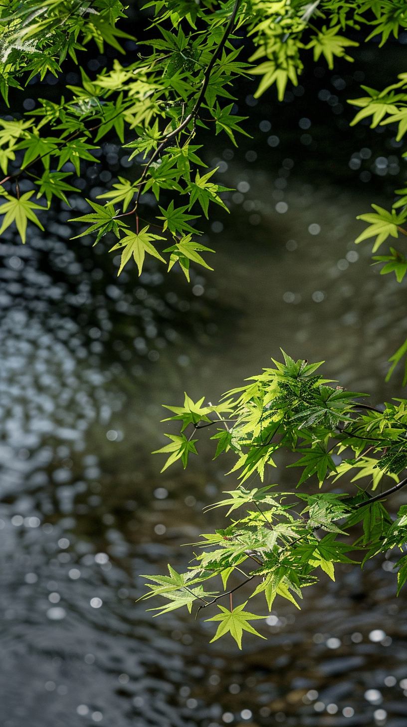 嫩绿树叶配溪水 清新自然风壁纸