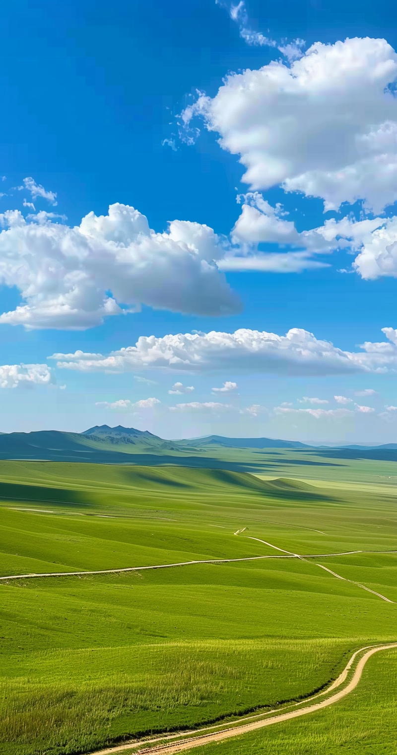 辽阔草原蓝天白云构成的美丽自然风景图