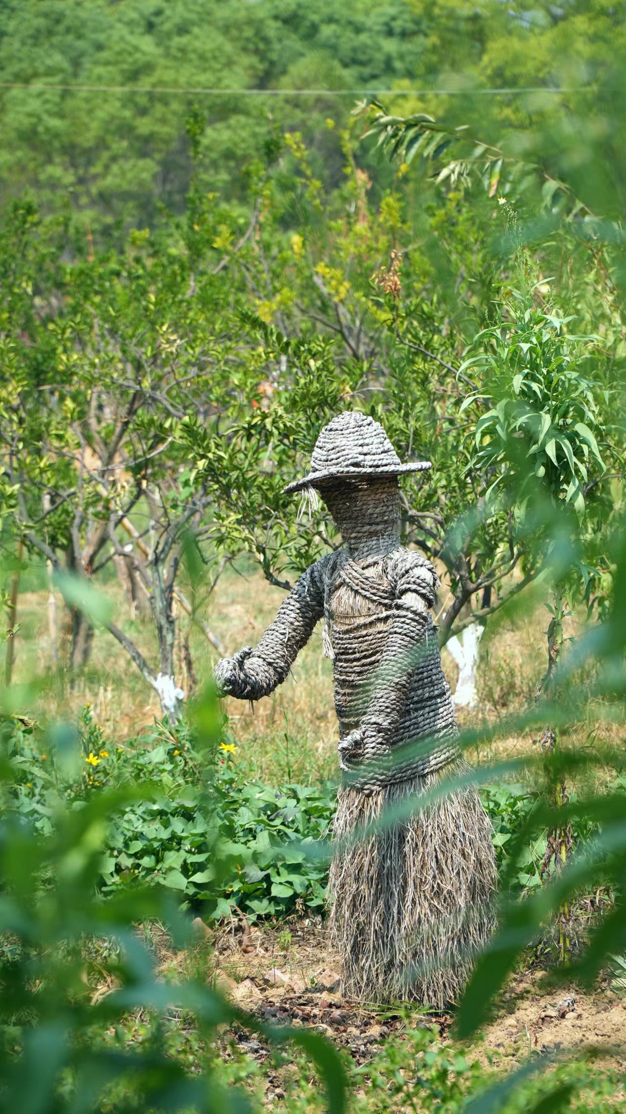 田园风光中的稻草人，乡村独特景致