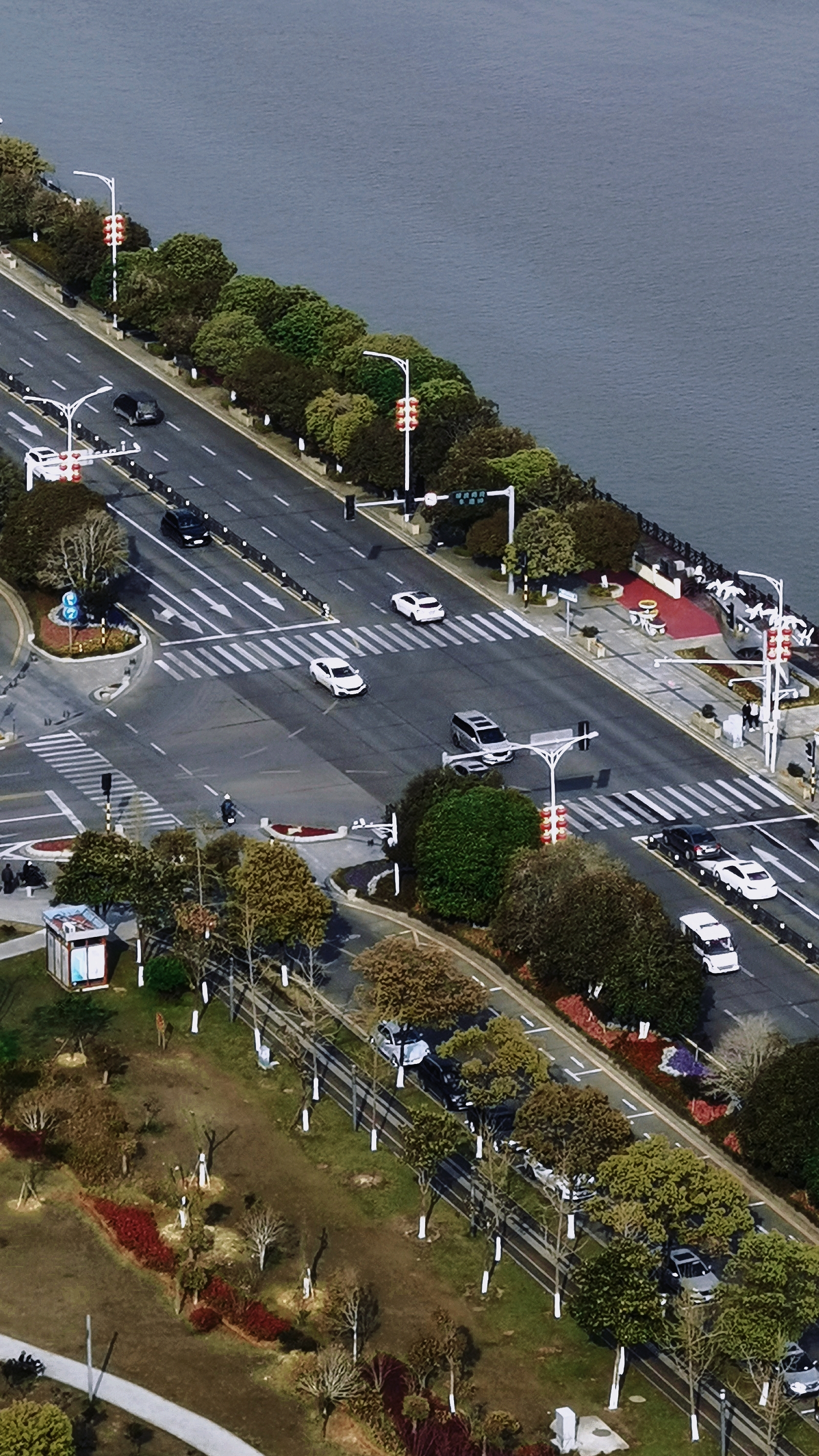 城市道路风景图汽车穿梭绿树成荫