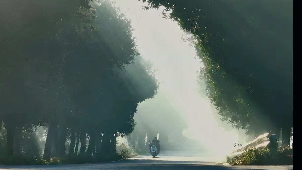 林间道路摩托车行驶的美景