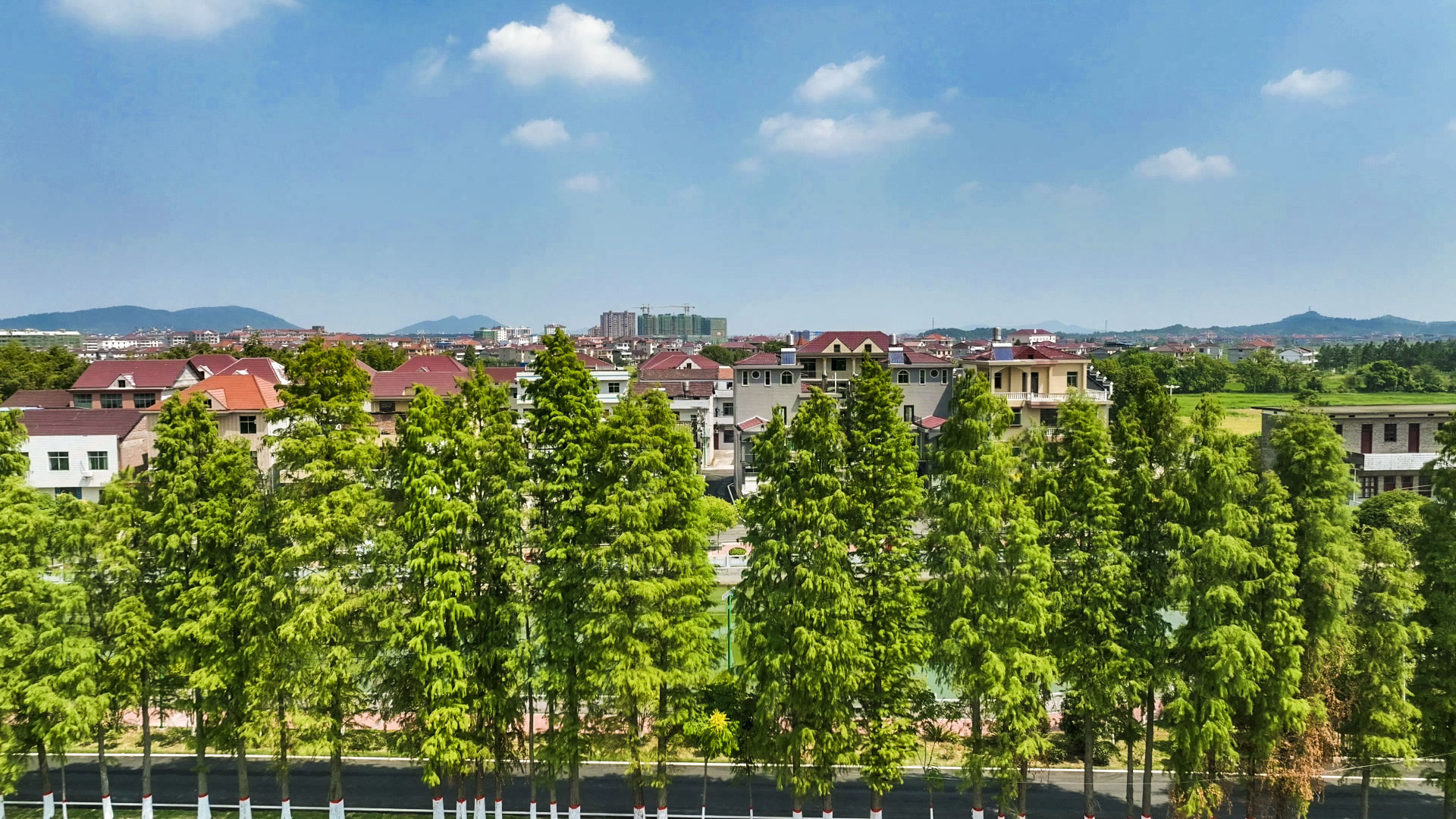 绿树环绕的乡村美景