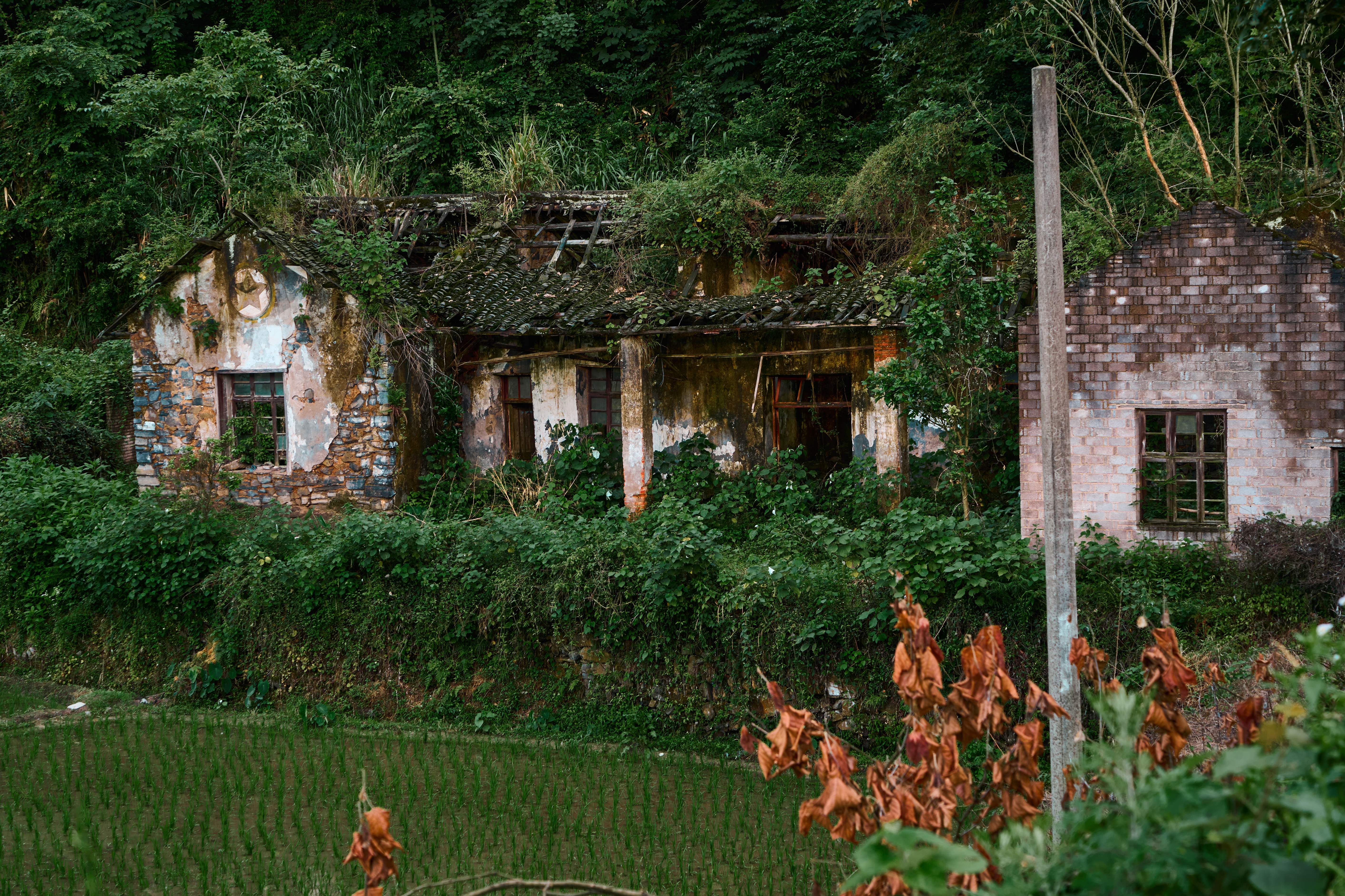 荒废老屋沧桑 乡村景象入画来
