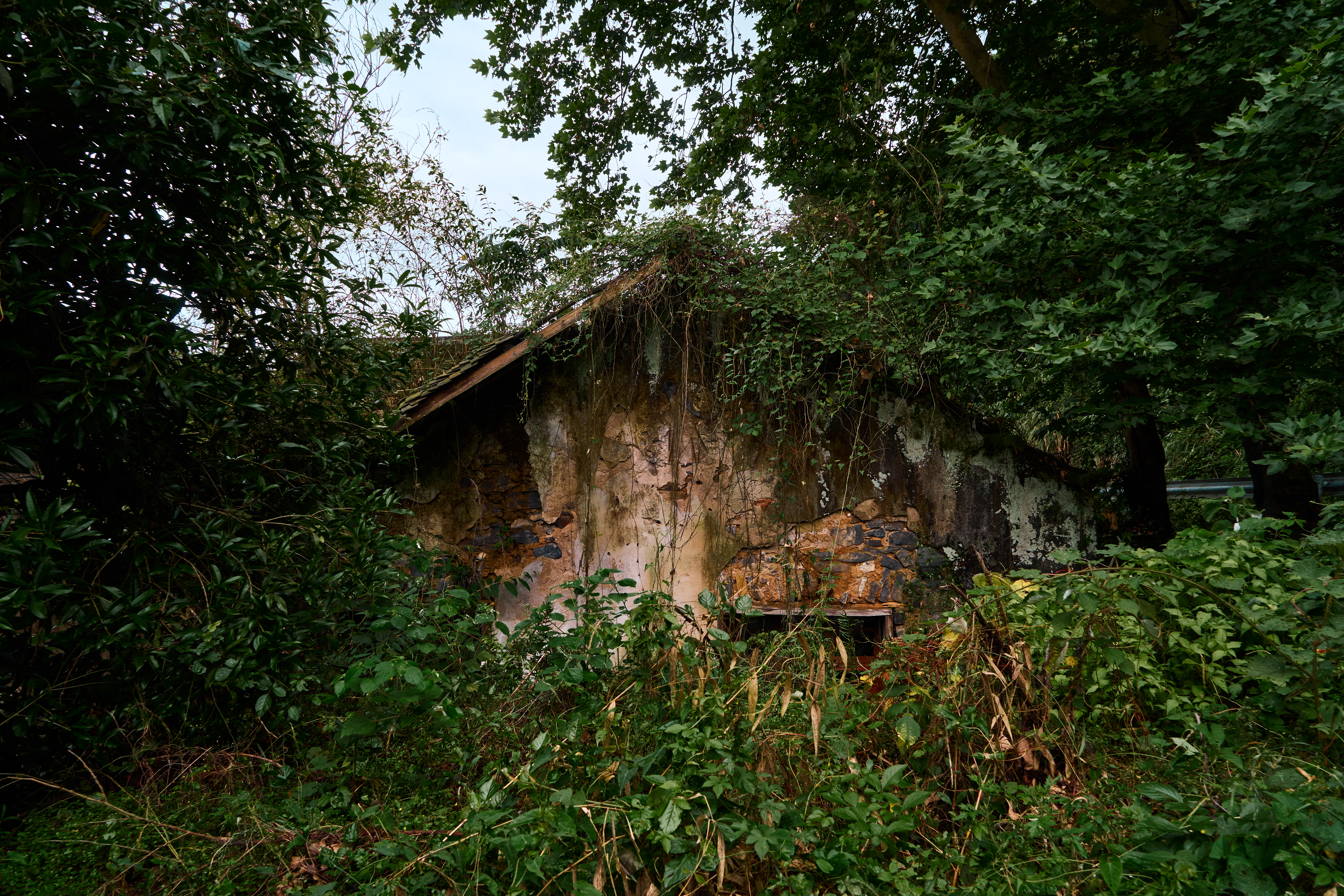 森林中破旧小屋 自然古朴的实景壁纸