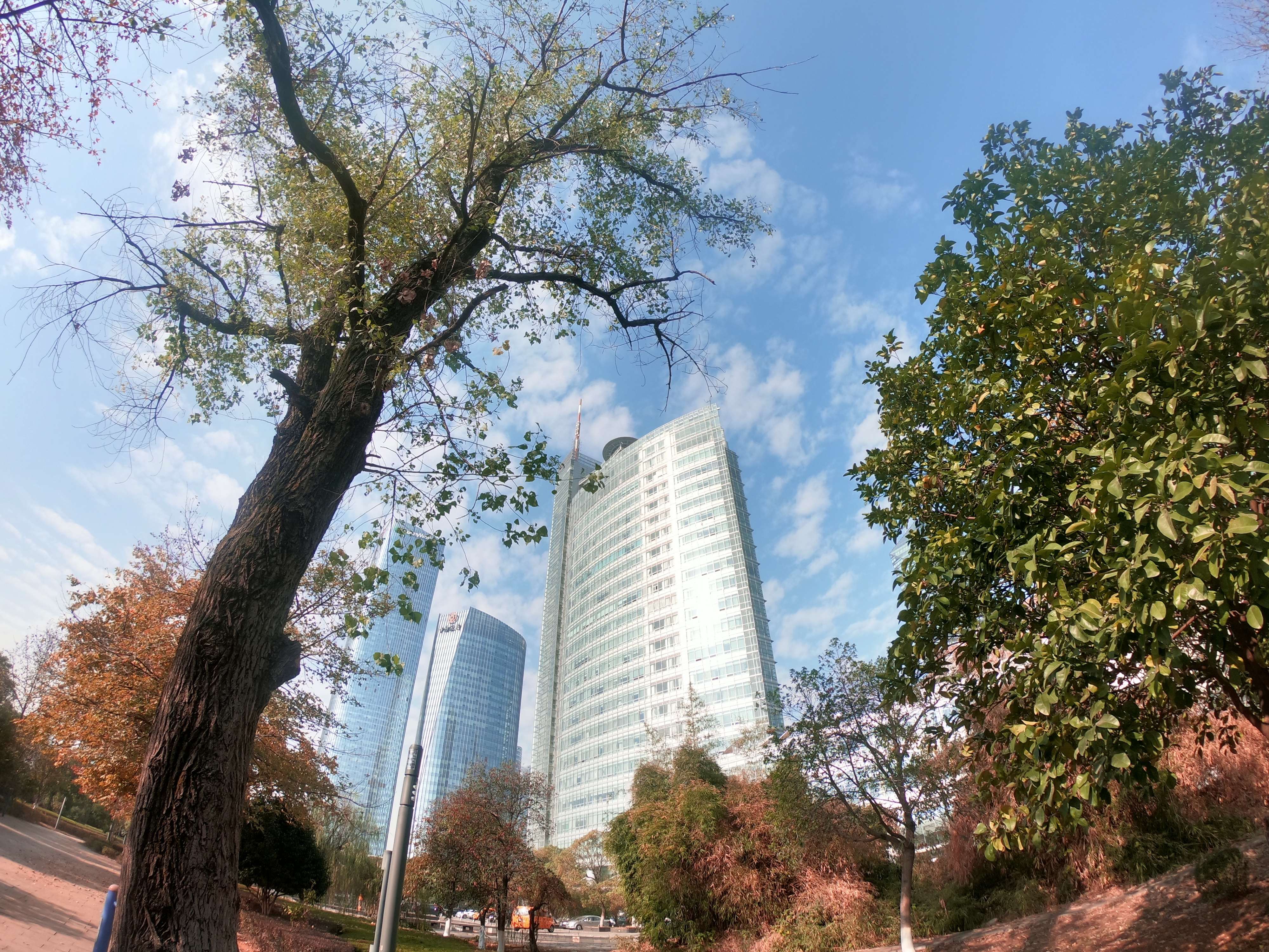 现代城市风光下的绿树蓝天美景