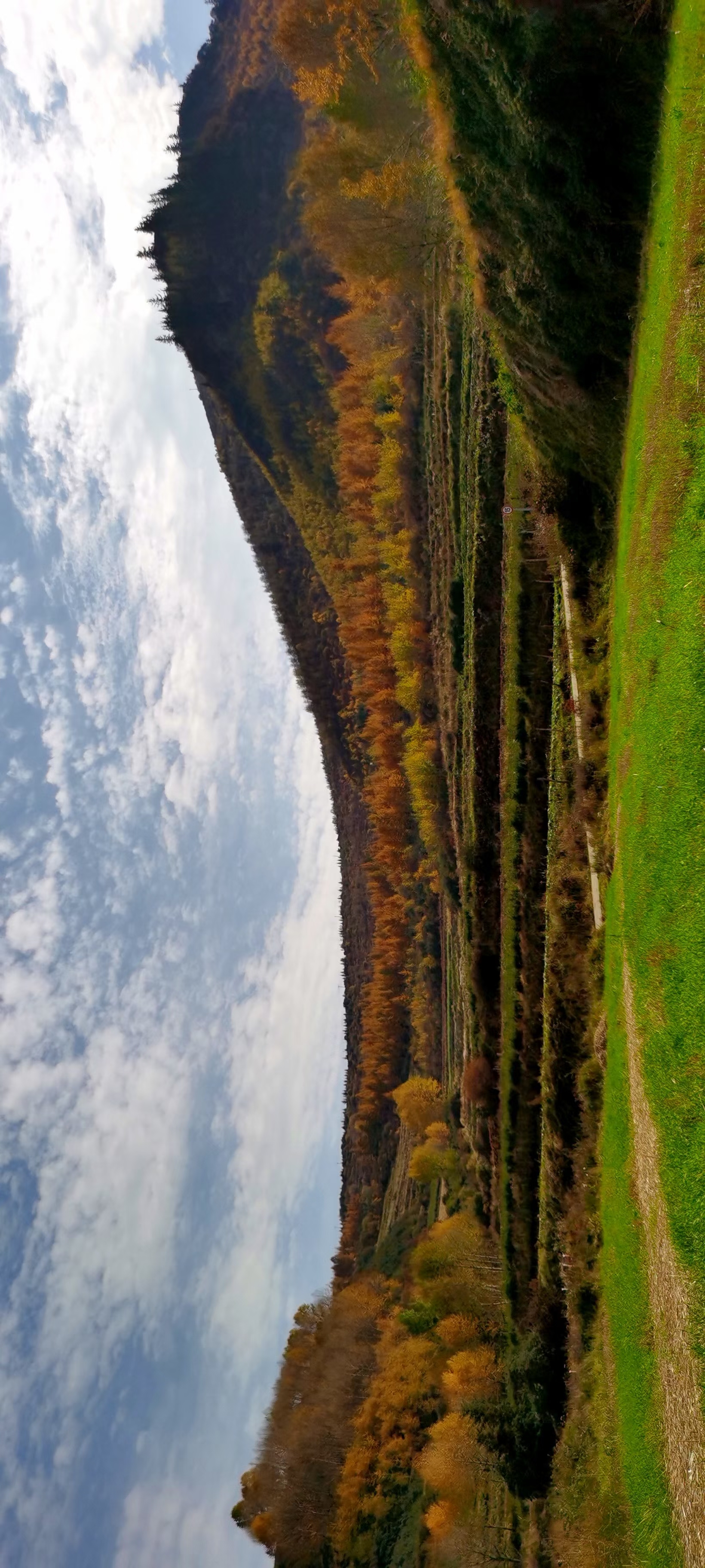 多彩山林风景图，乡村自然美景的展现