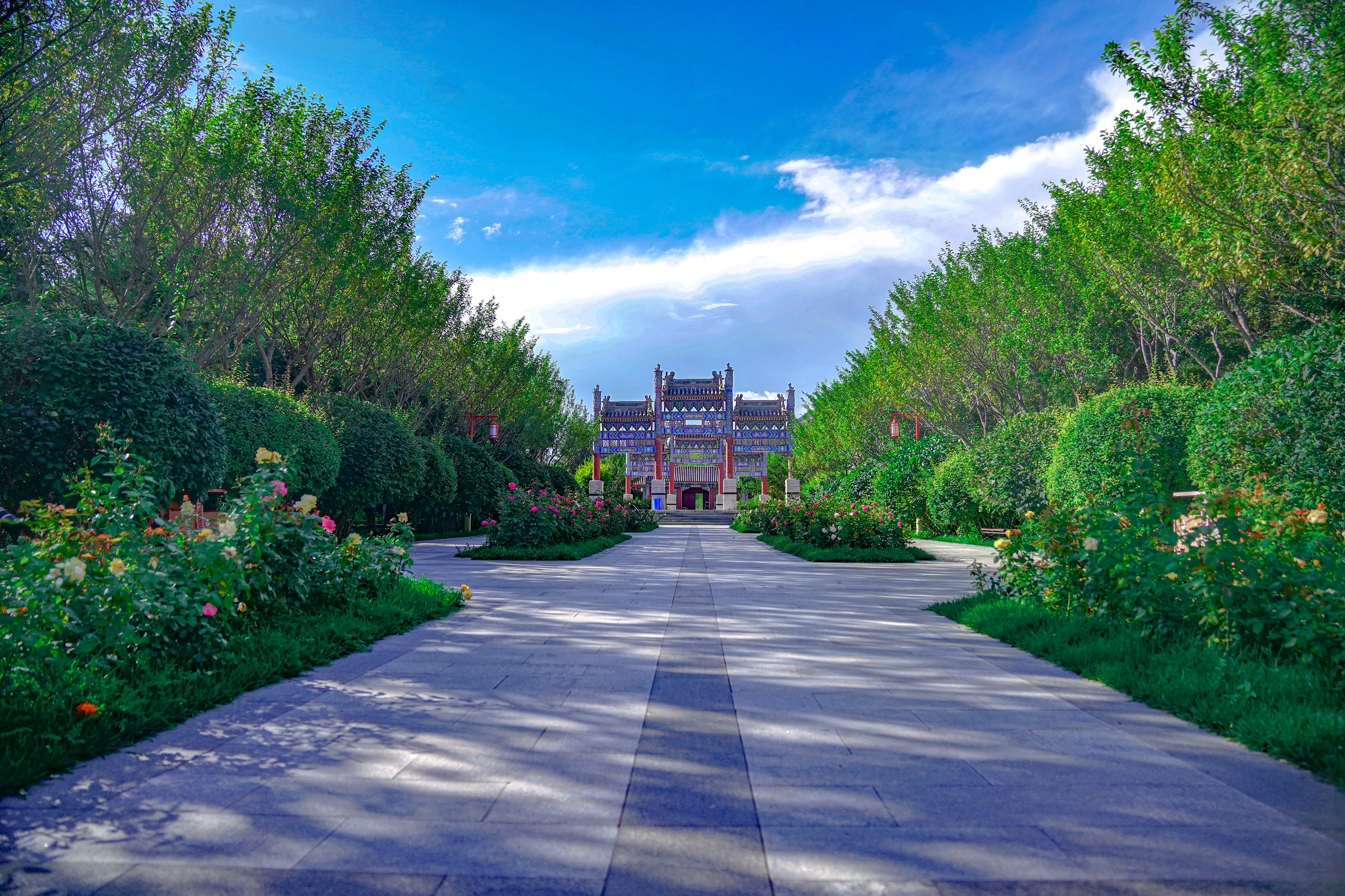 绿树成荫的美丽古建筑景观路