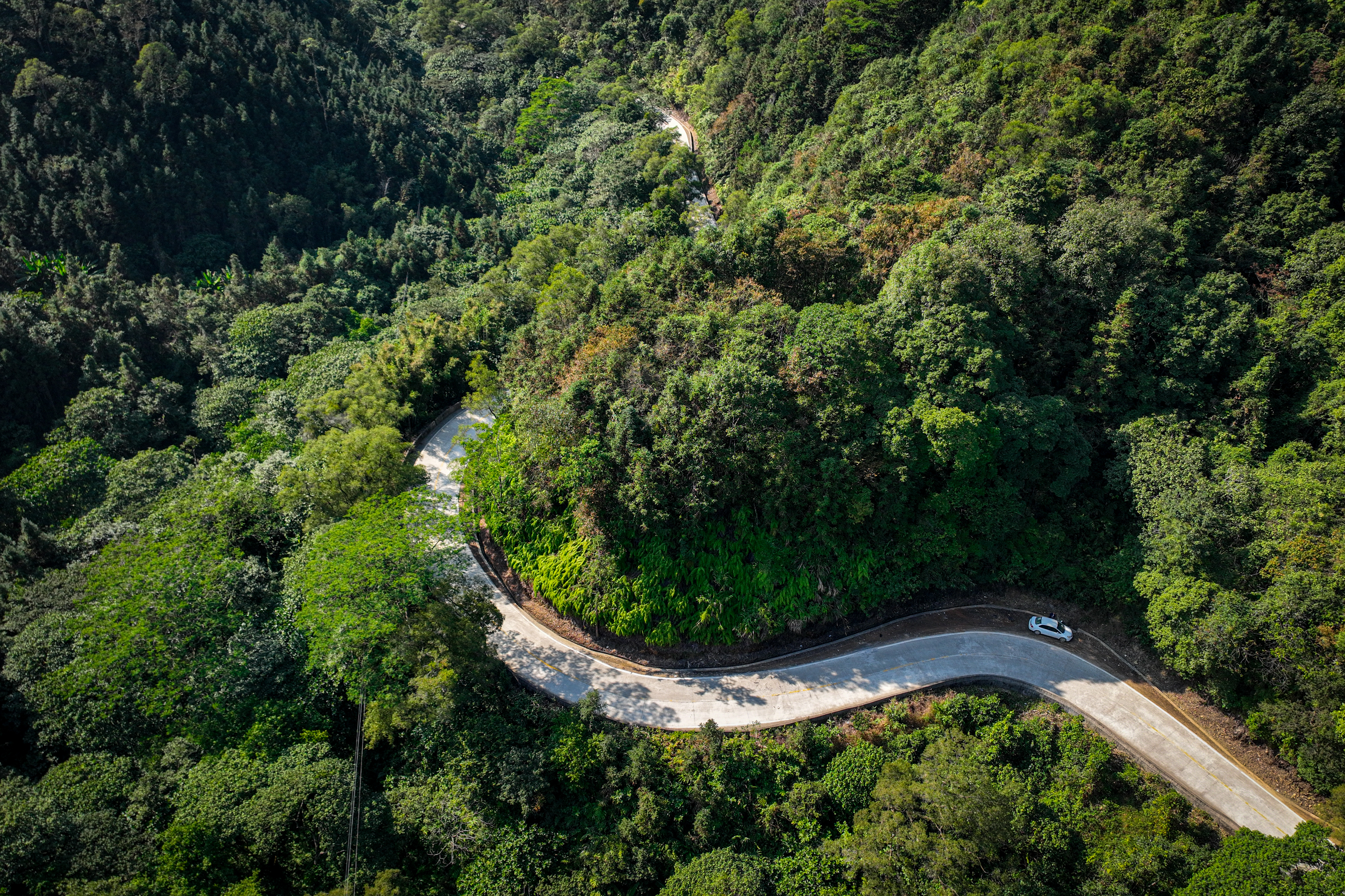 蜿蜒山路穿梭森林间美景呈现