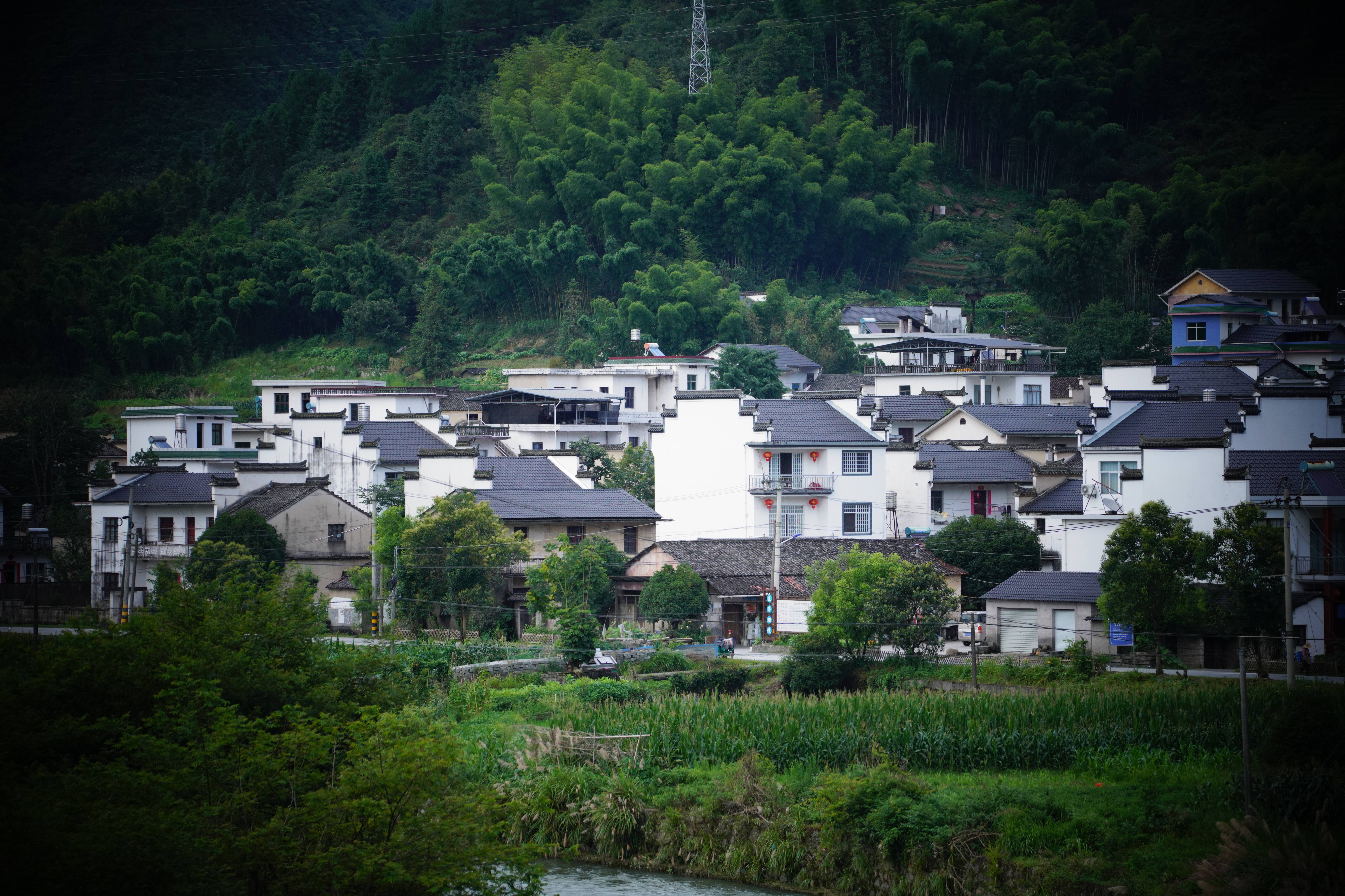 乡村美丽风光宁静自然的乡村生活
