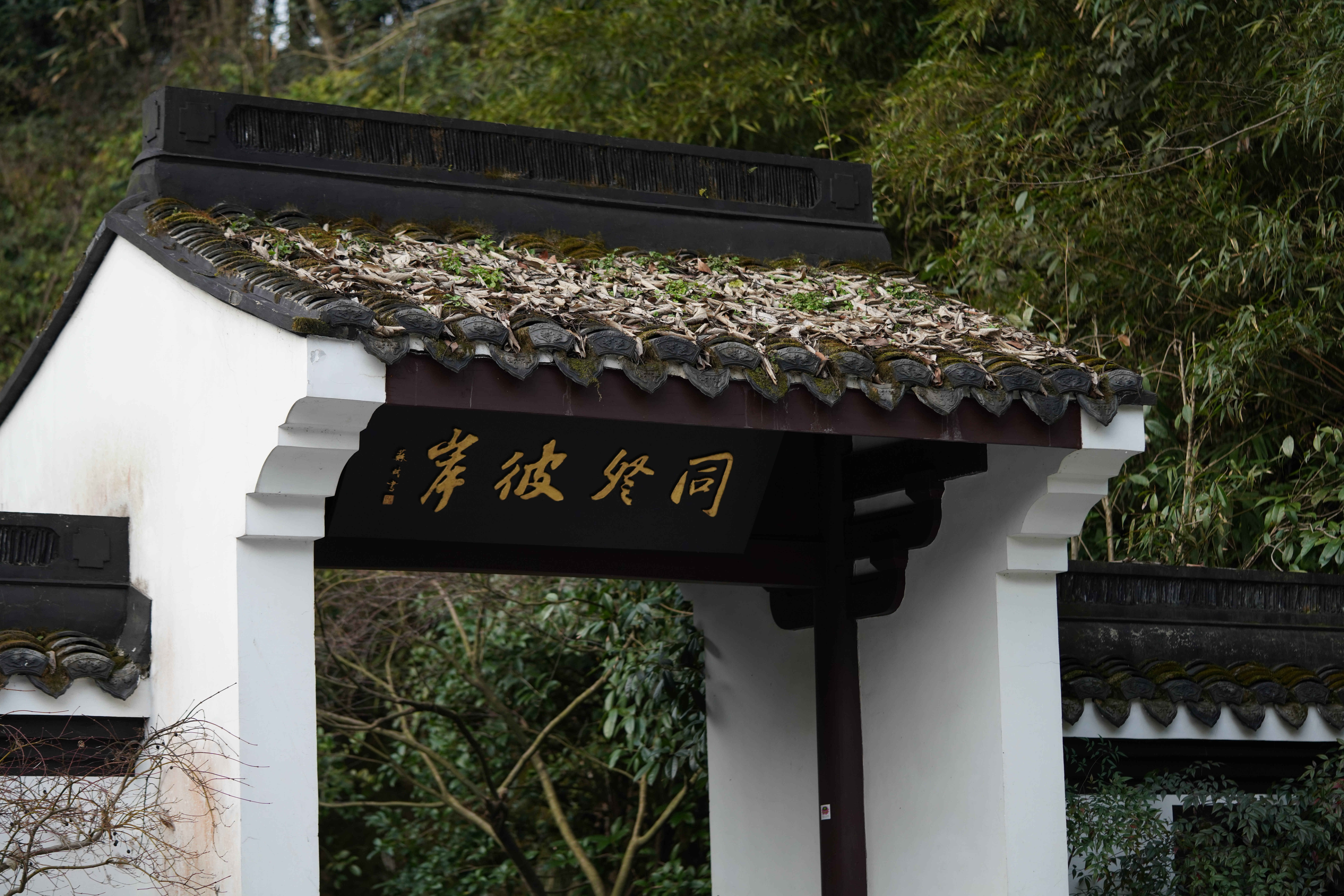 古色古香翠筱亭中式建筑