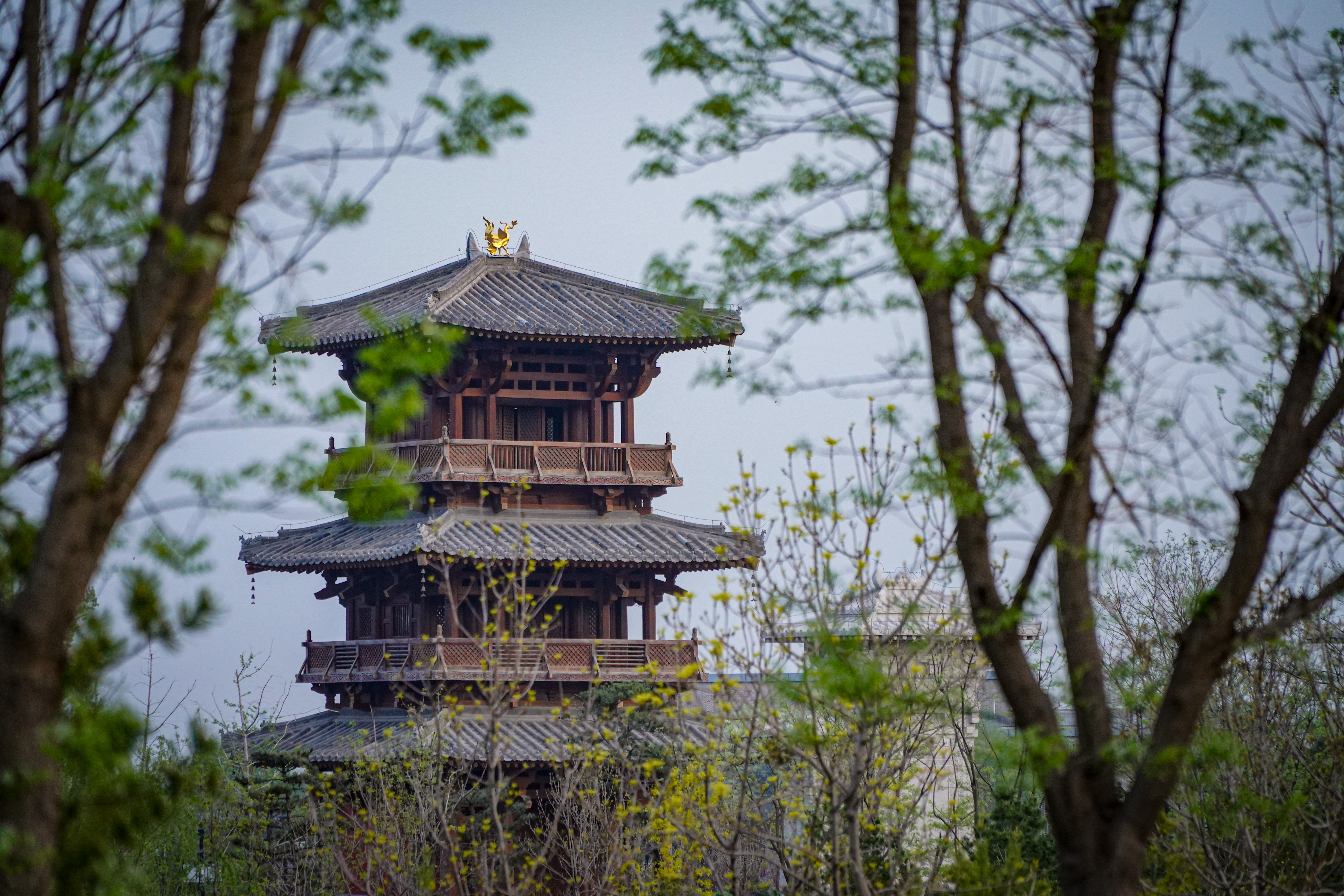 古色古香的古建筑传统中式韵味