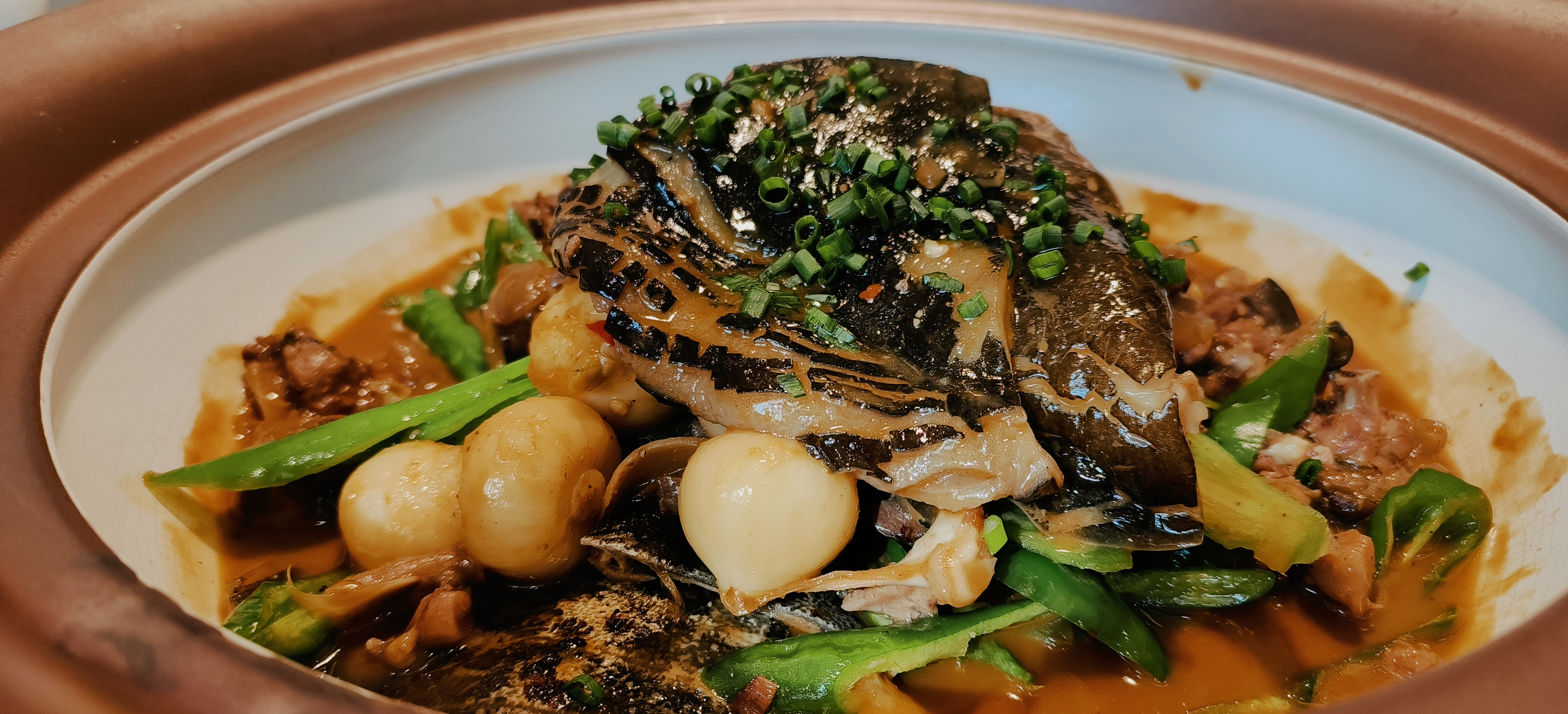 美味中餐佳肴甲鱼菜品视觉盛宴
