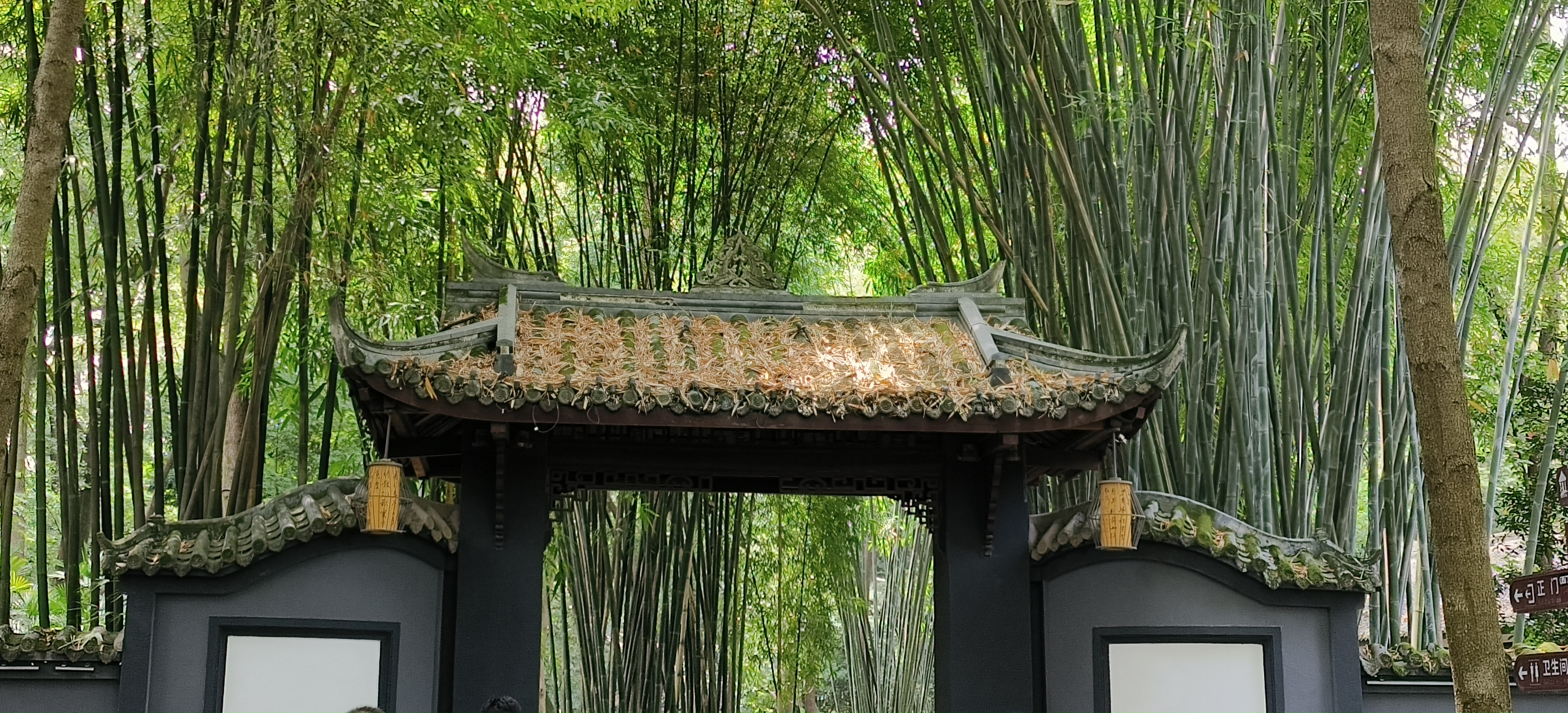 竹林中的古建筑自然之美宣传海报