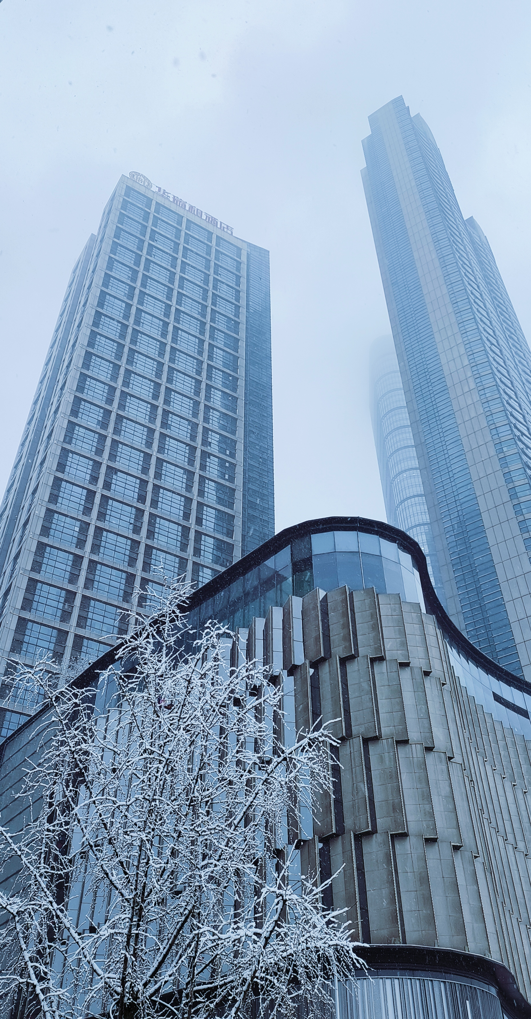 雾中高楼与积雪树木构成独特城市雪景