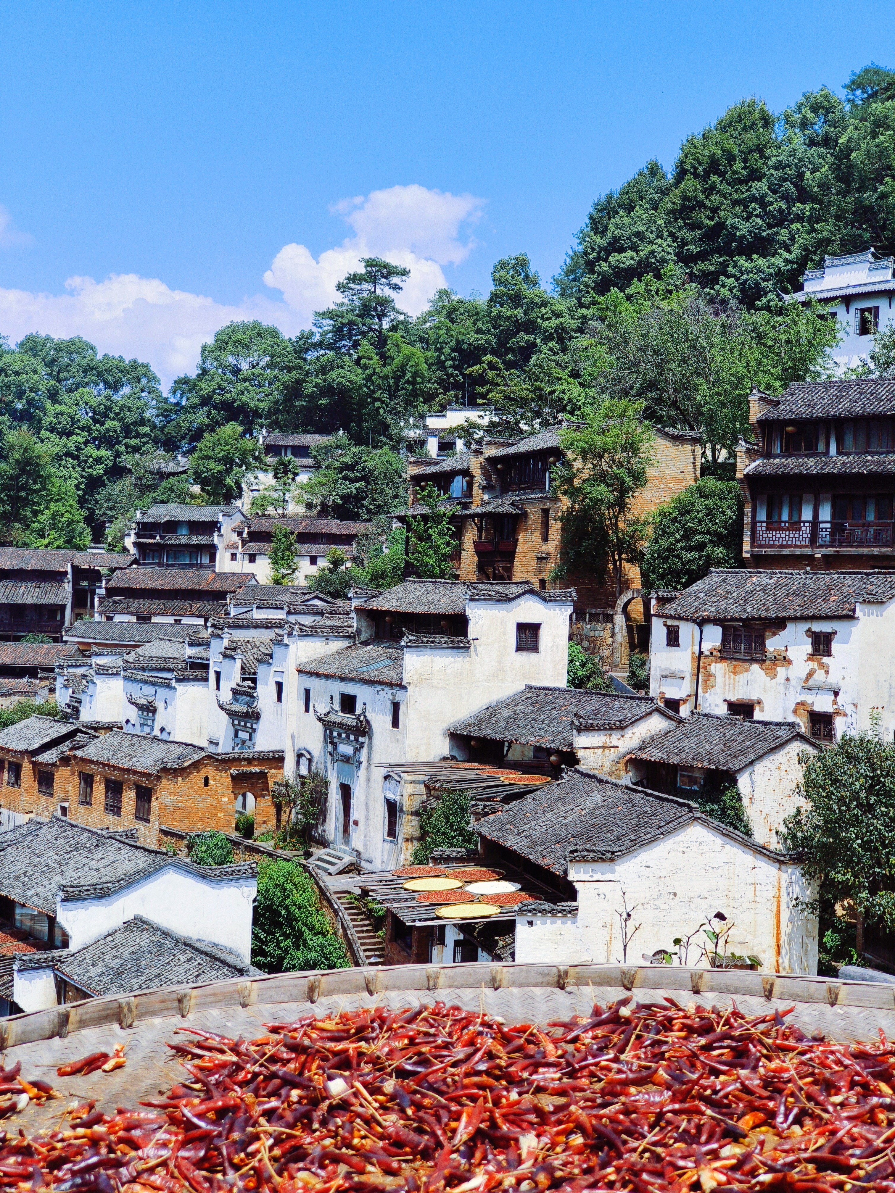 古村风貌美如画特色辣椒晾晒景