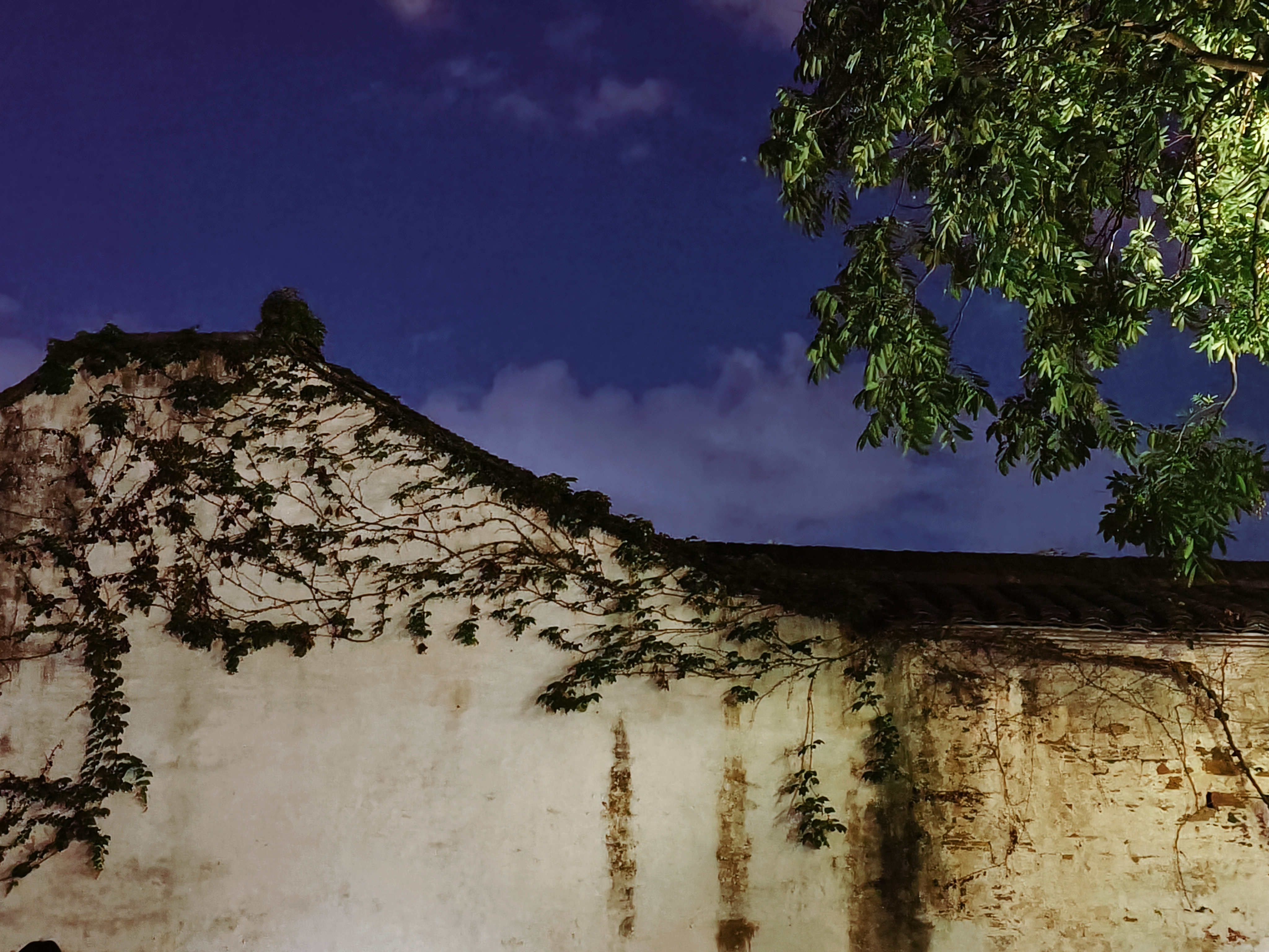 古老墙壁爬满藤蔓的独特夜景壁纸