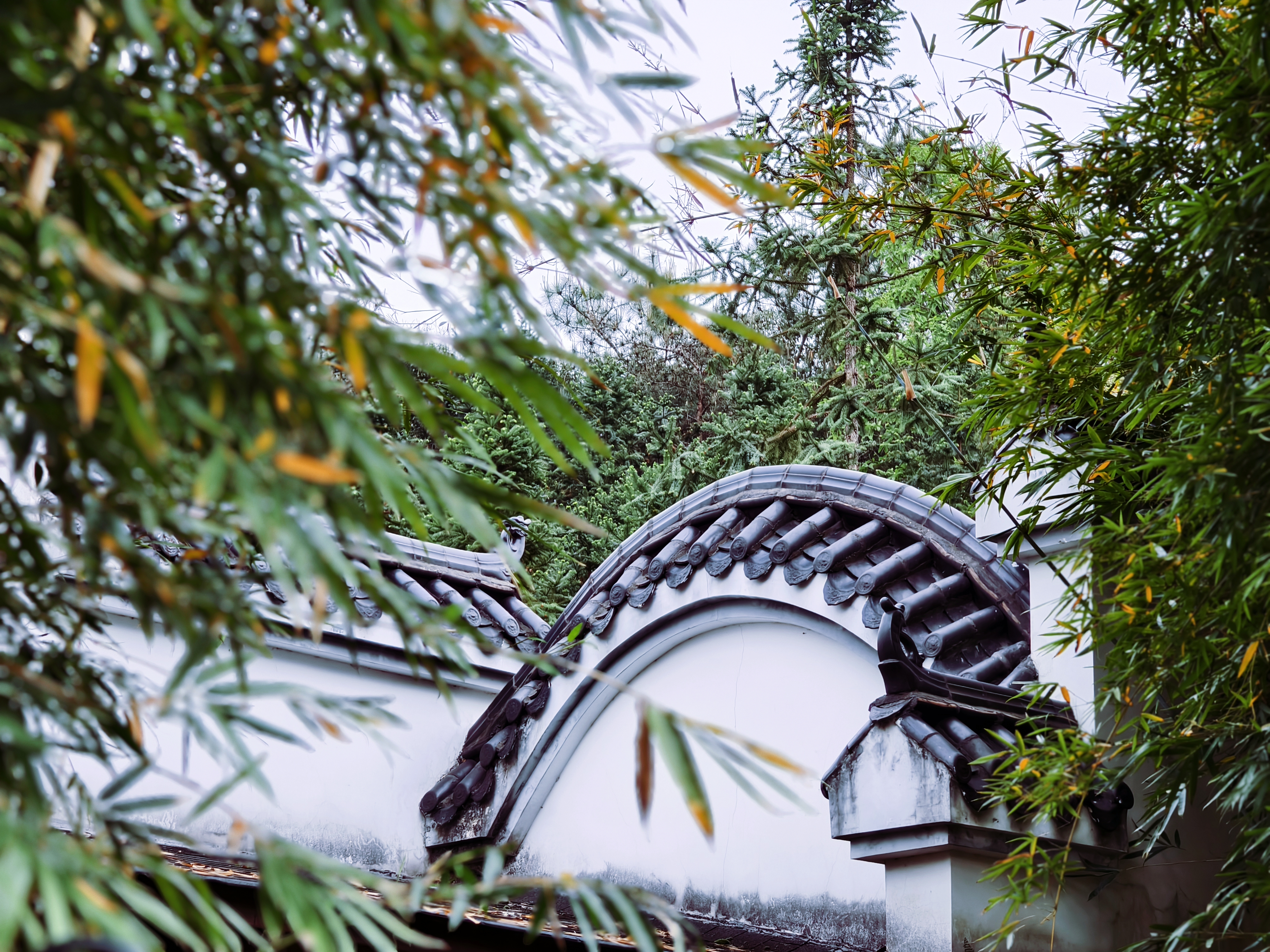 中式传统建筑庭院