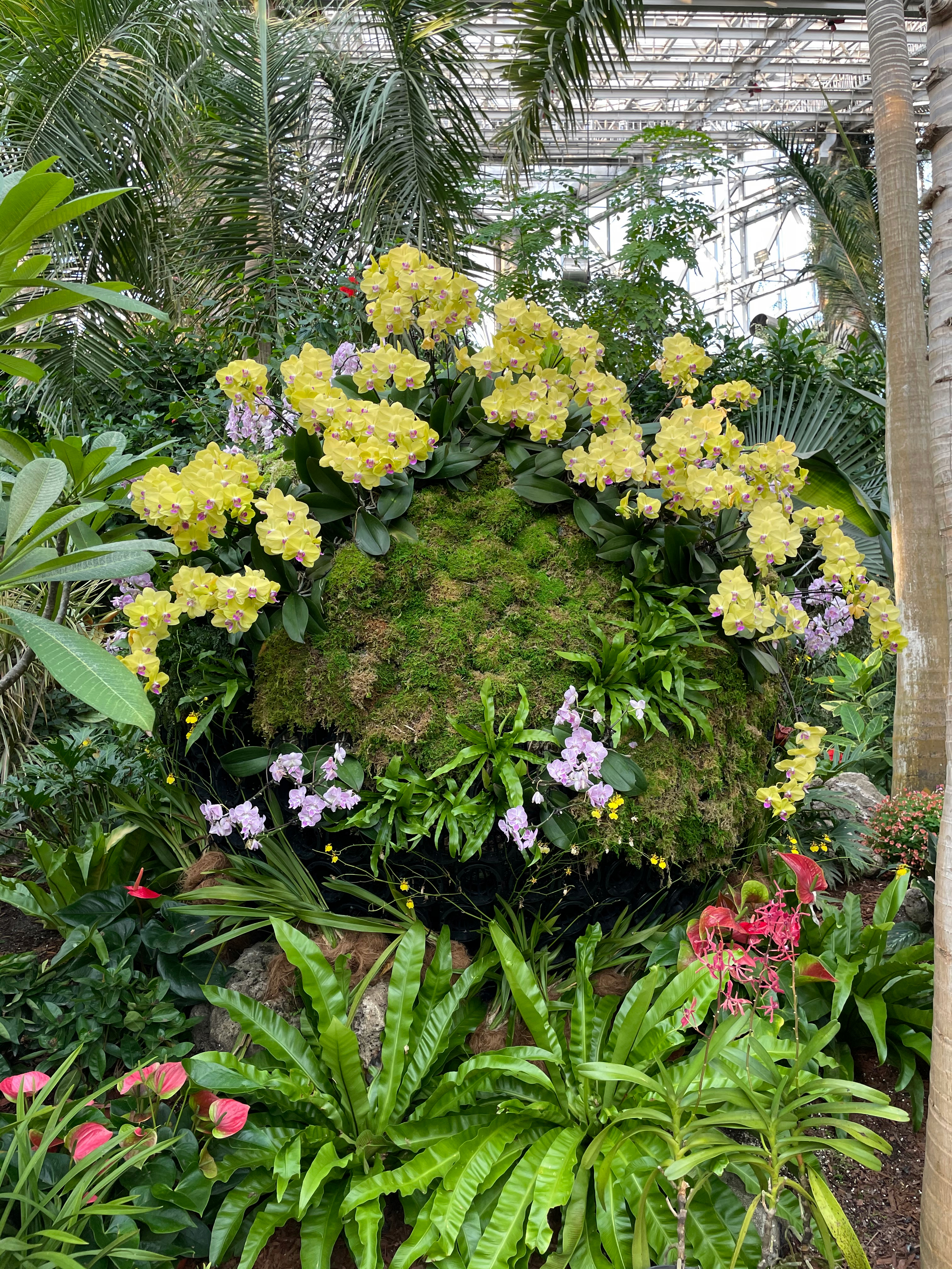 赏多彩鲜花绿植清新自然景观图