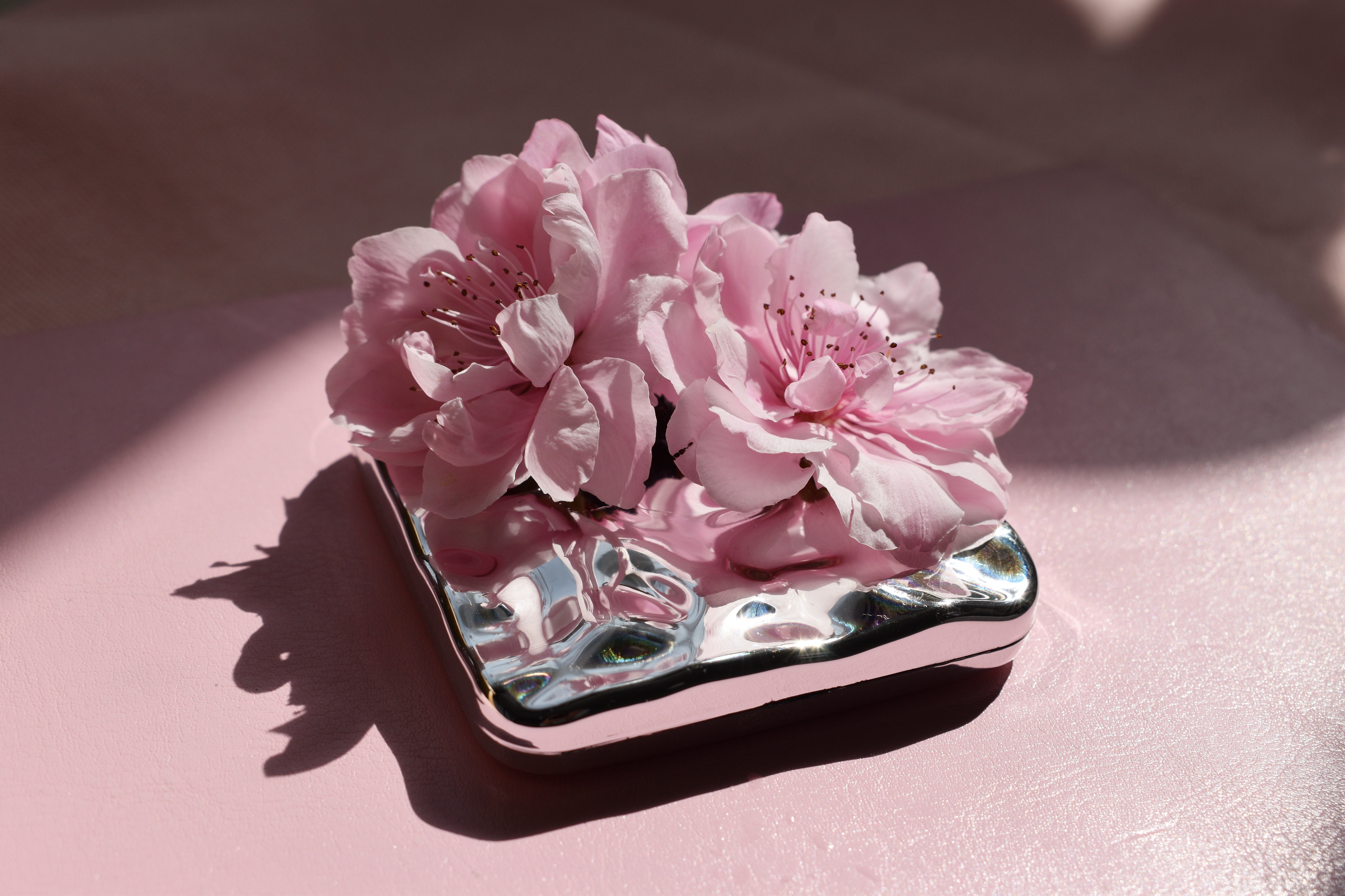 粉色桃花装饰画浪漫清新之美