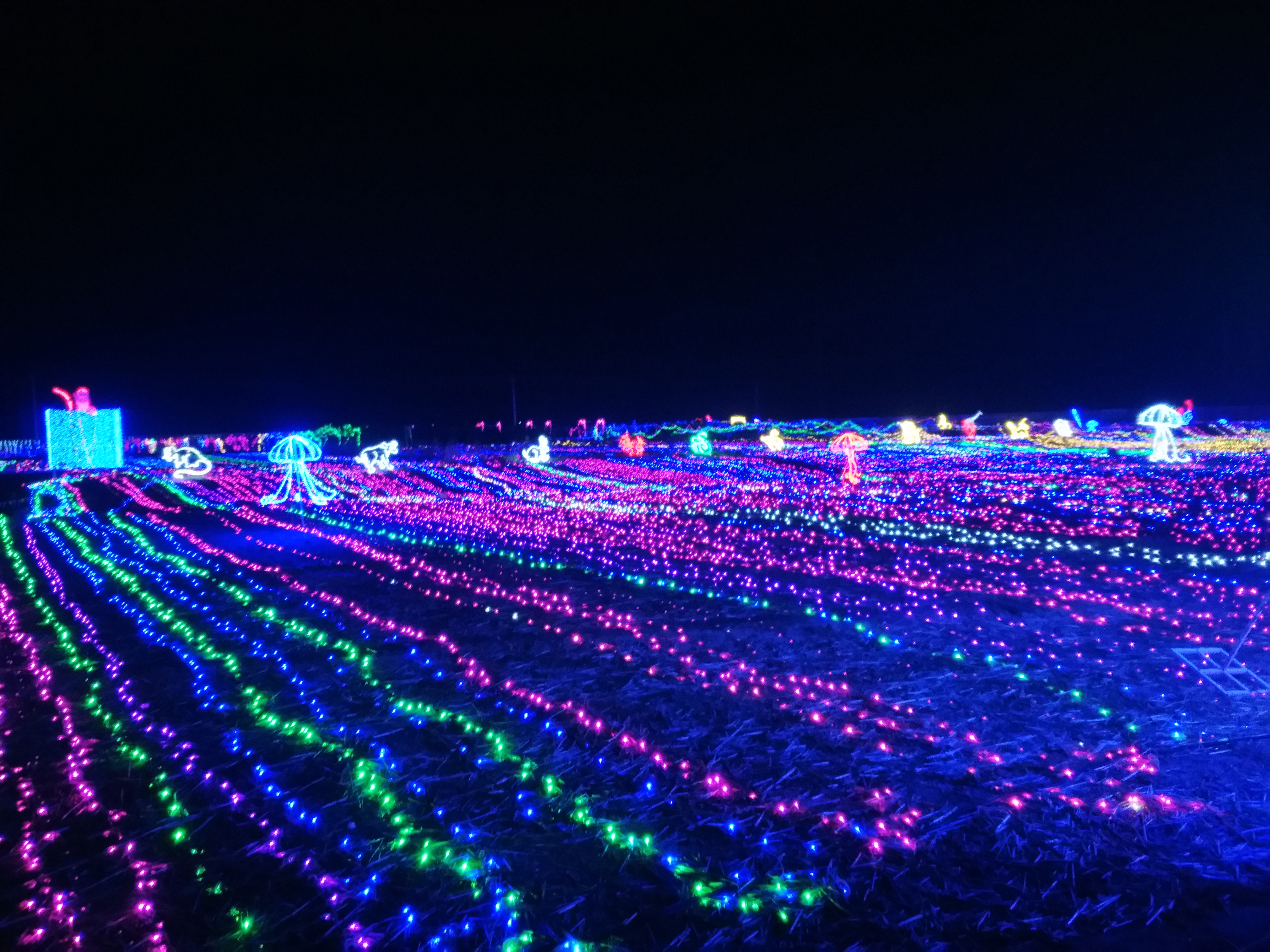 五彩灯光秀打造梦幻夜景，绚烂夺目
