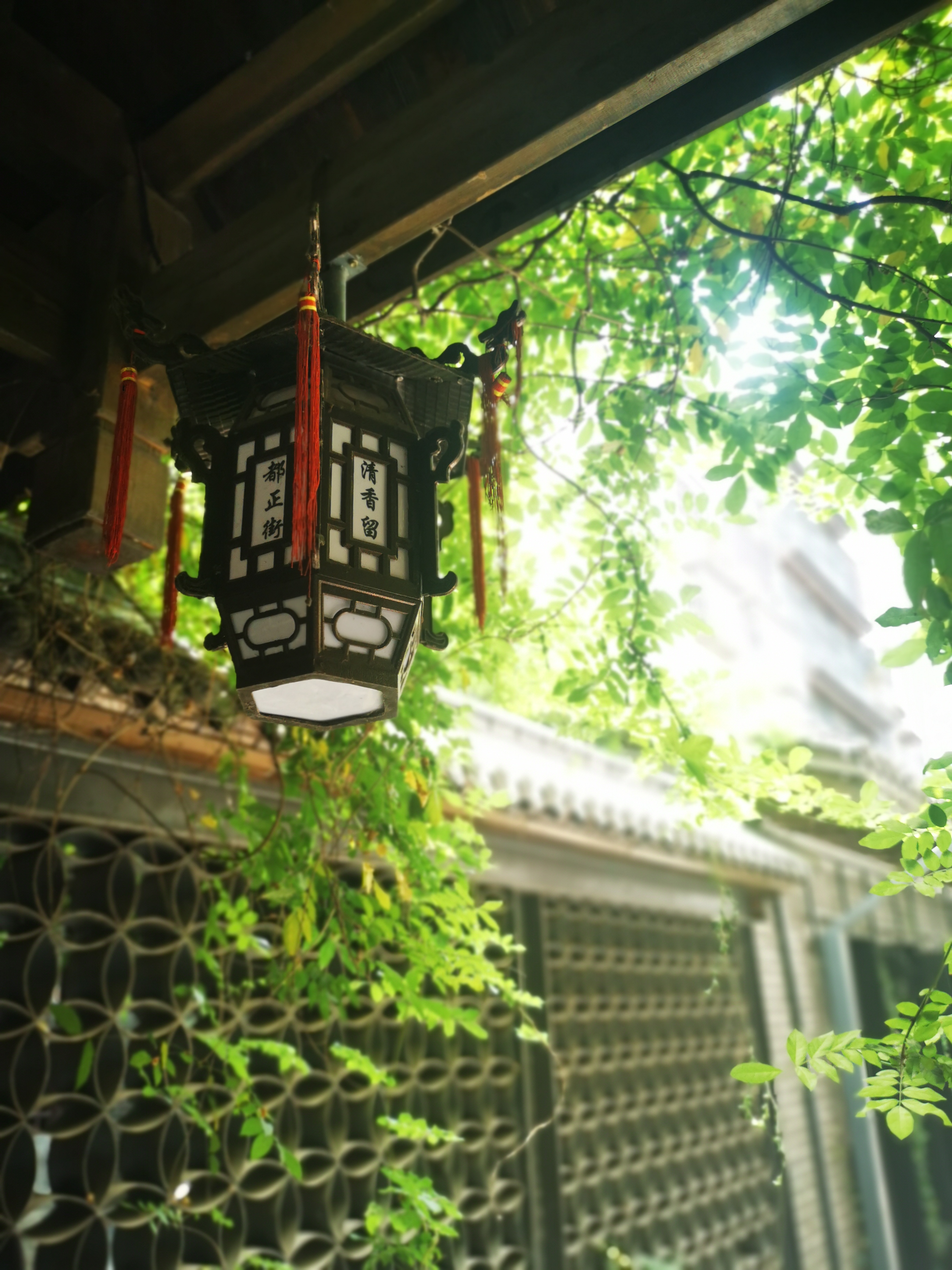 古色古香中式灯笼，尽显传统文化之美