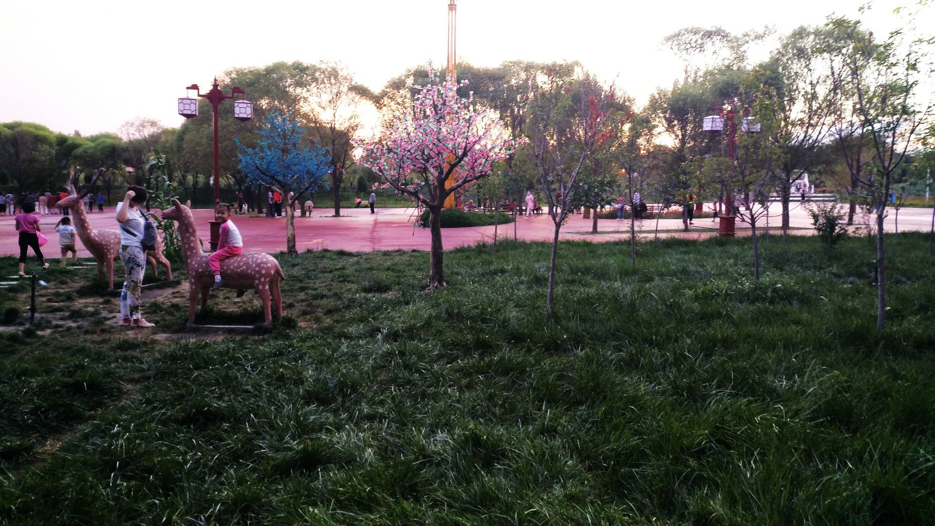 绿草如茵的户外公园，赏景健身好去处