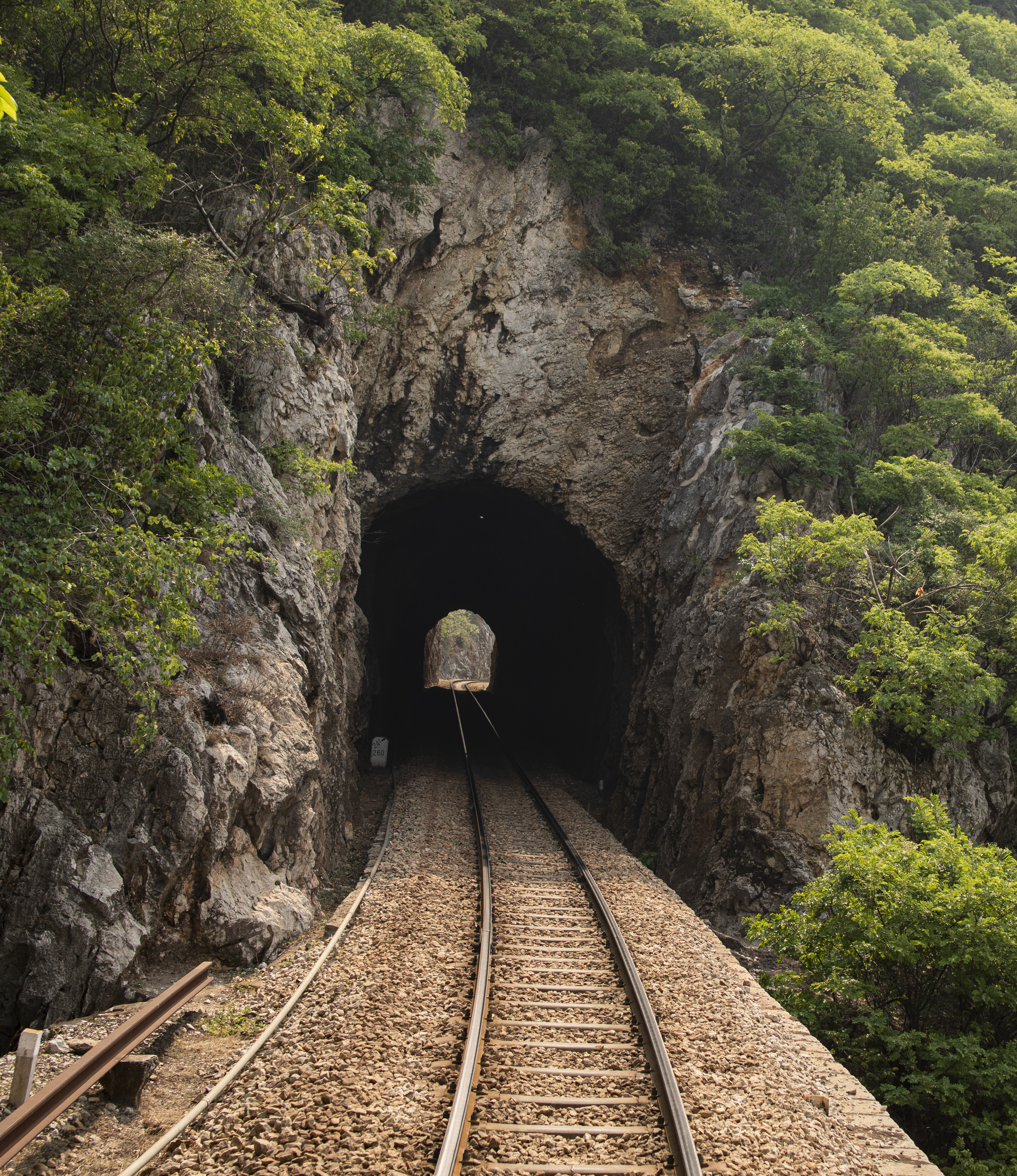 穿梭山林间的高铁隧道 尽显自然之美
