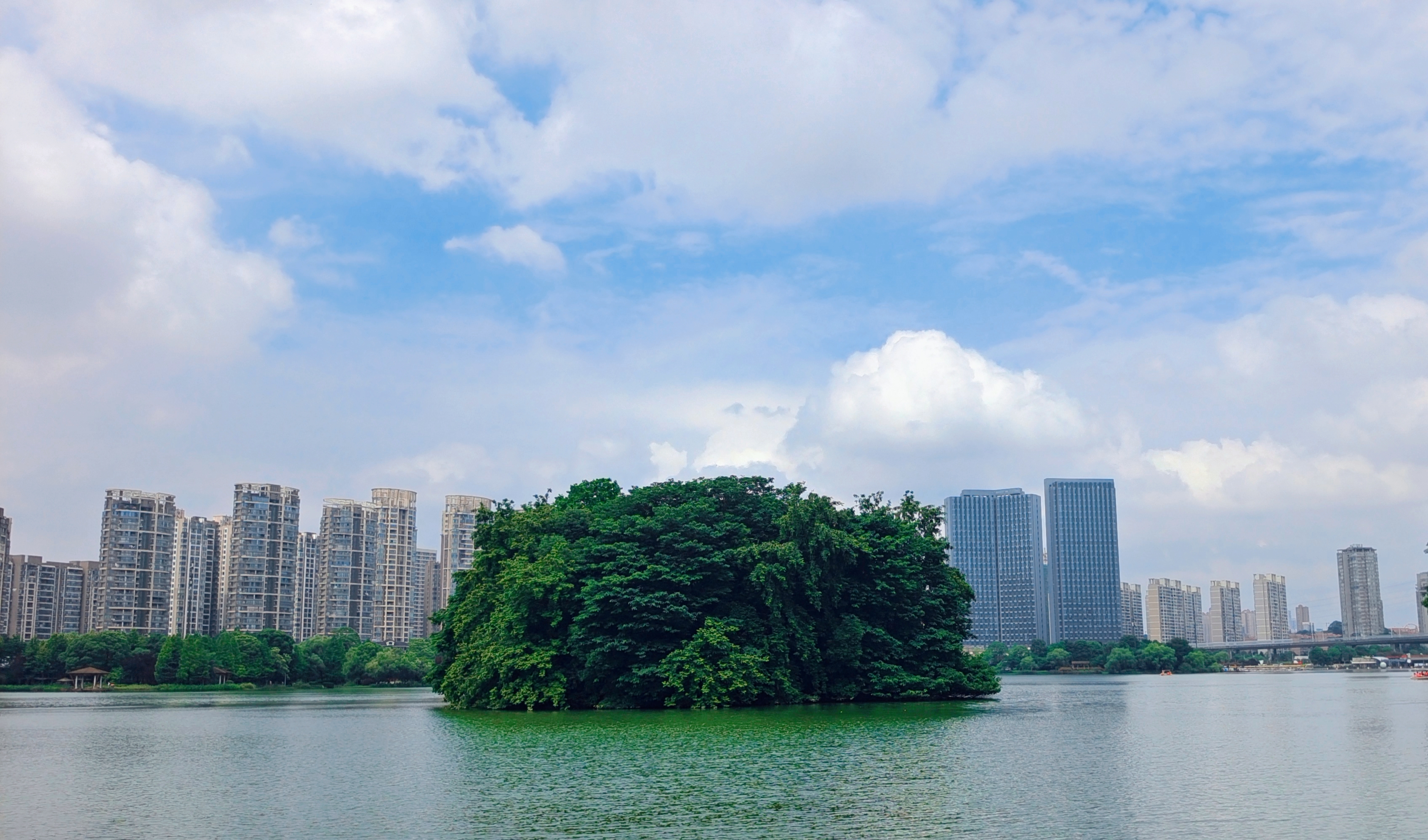 湖泊绿树相映成趣的城市风光电脑壁纸