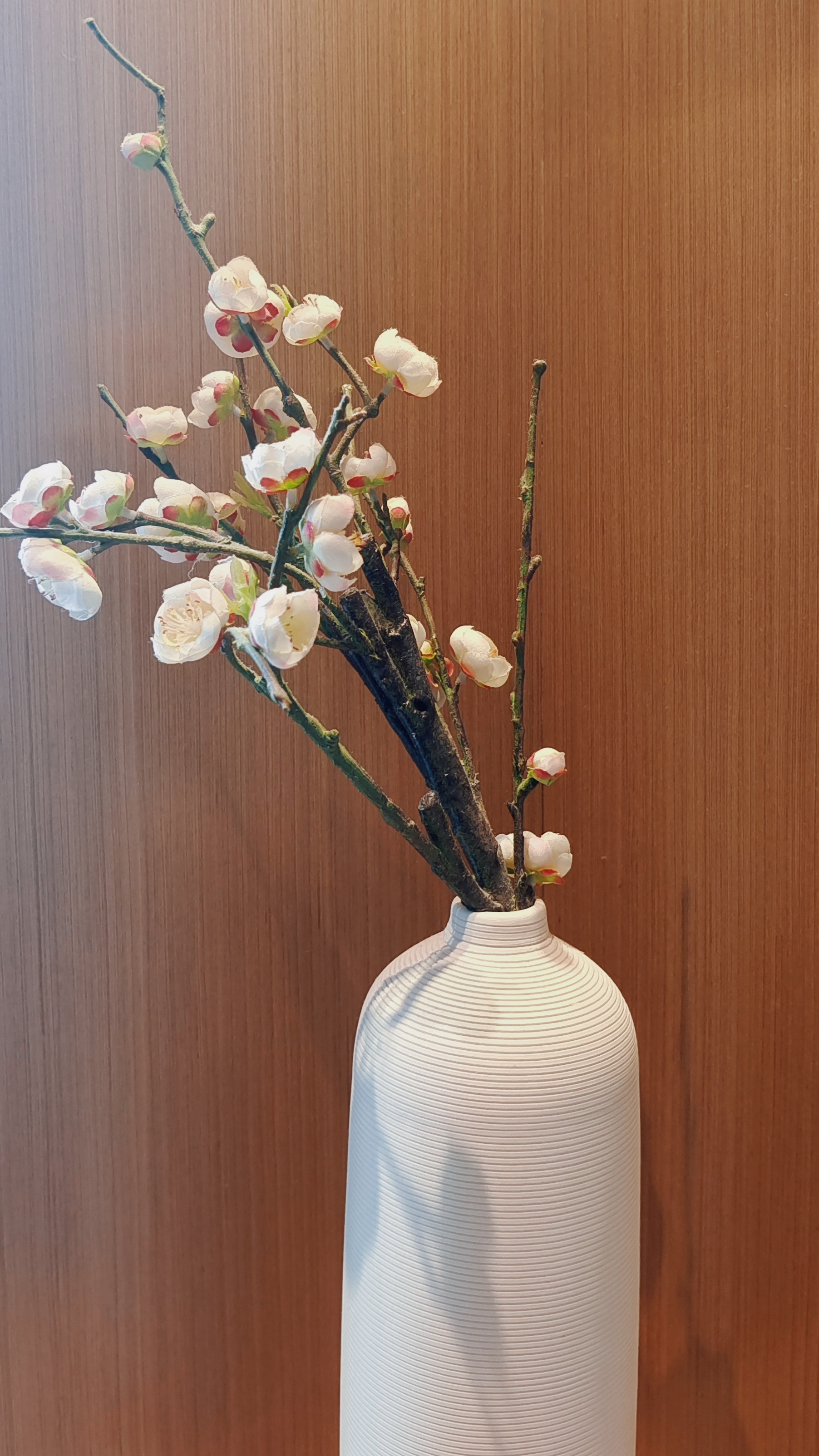 白色花瓶插梅花，简约清新尽显优雅格调