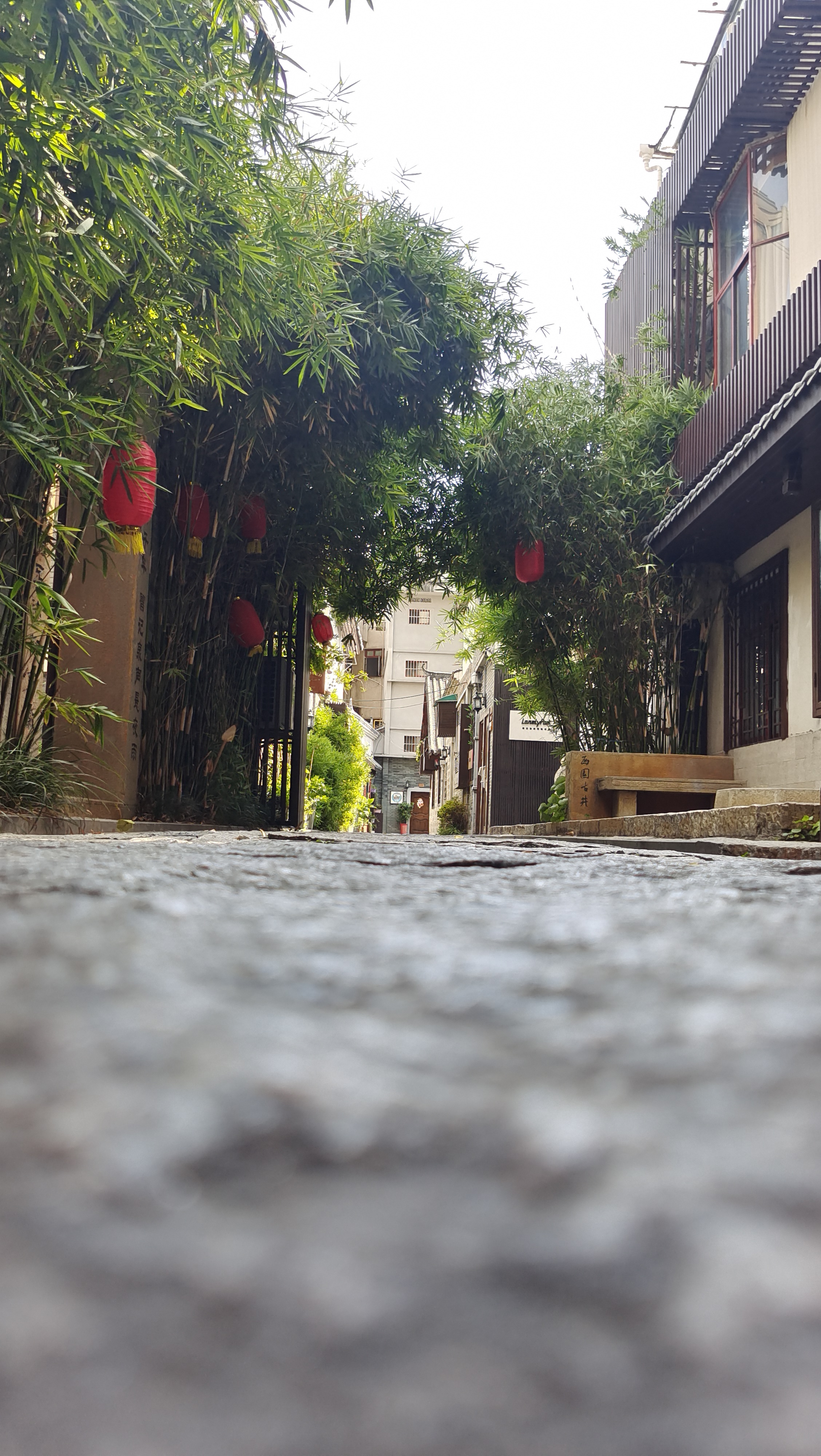 绿植红笼装点小巷 中式风格尽显古韵之美